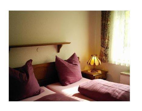 Sport-Alpin-Wohnung-1