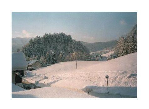 Sport-Alpin-Wohnung-1