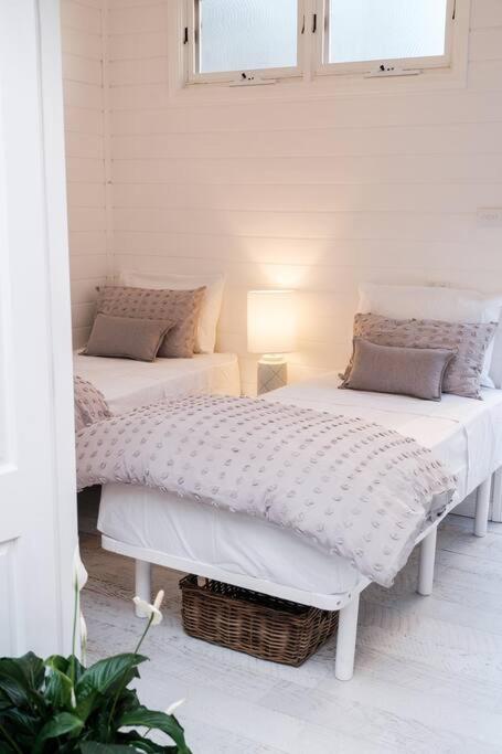 Driftwood Beach House