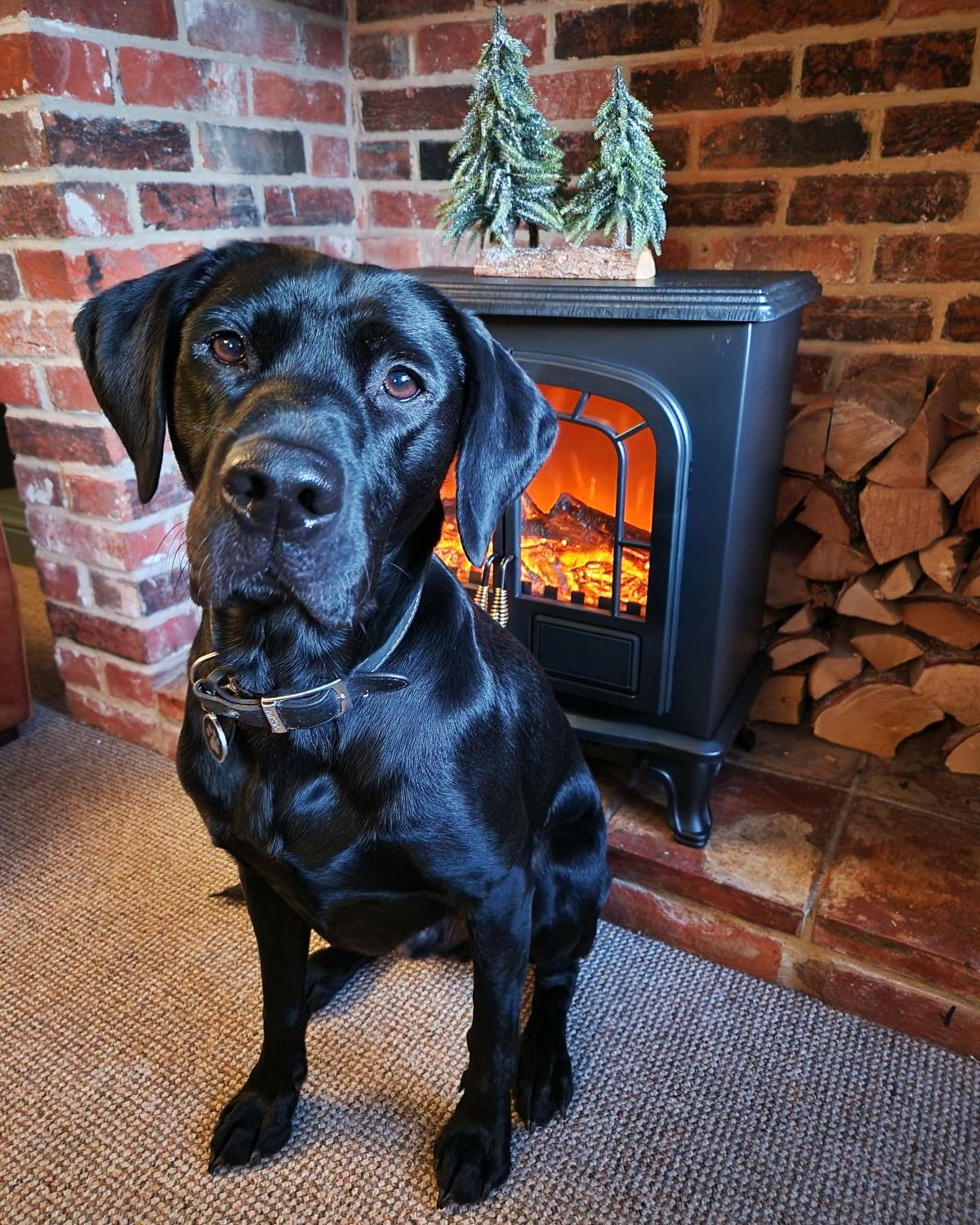 Pebbles Cottage
