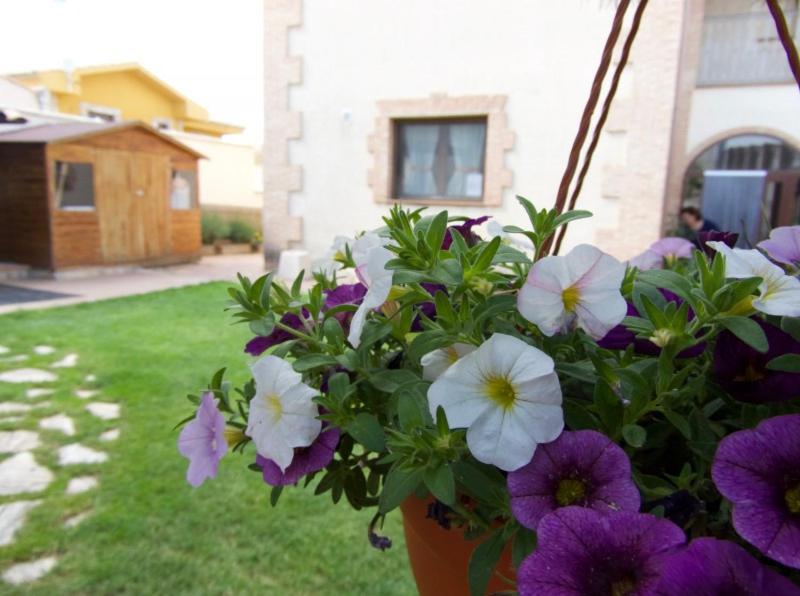 Casa Rural Figueroa