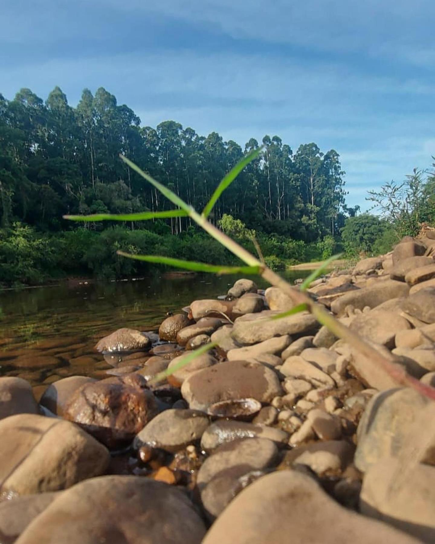 Hospedagem Bela Roça - Lareira, Passeio a cavalo, ovelhas
