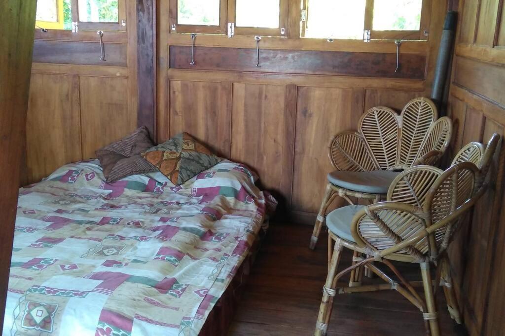 Obrigado Jungle Villas view 3