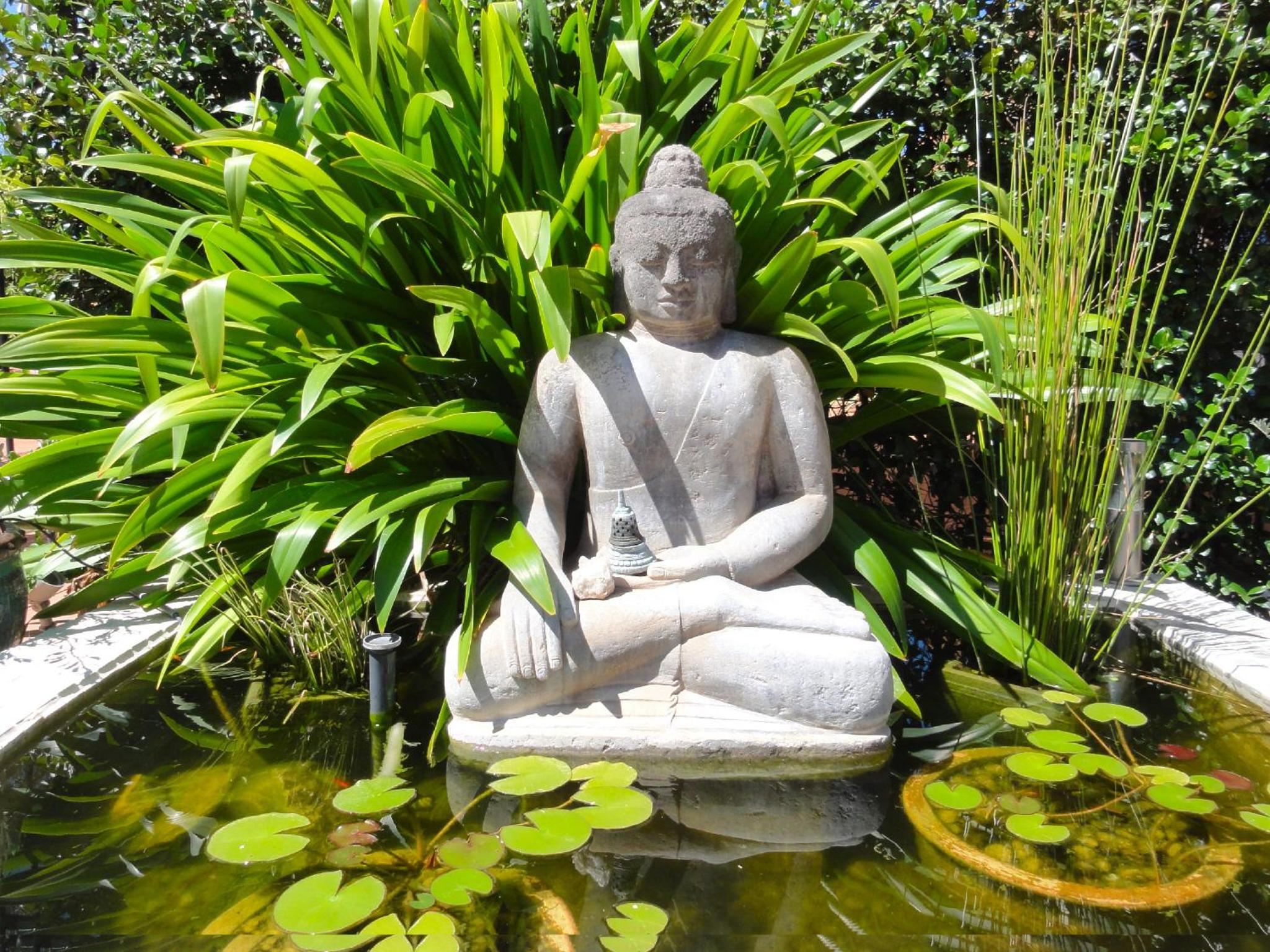 Vatu Sanctuary, photo 26