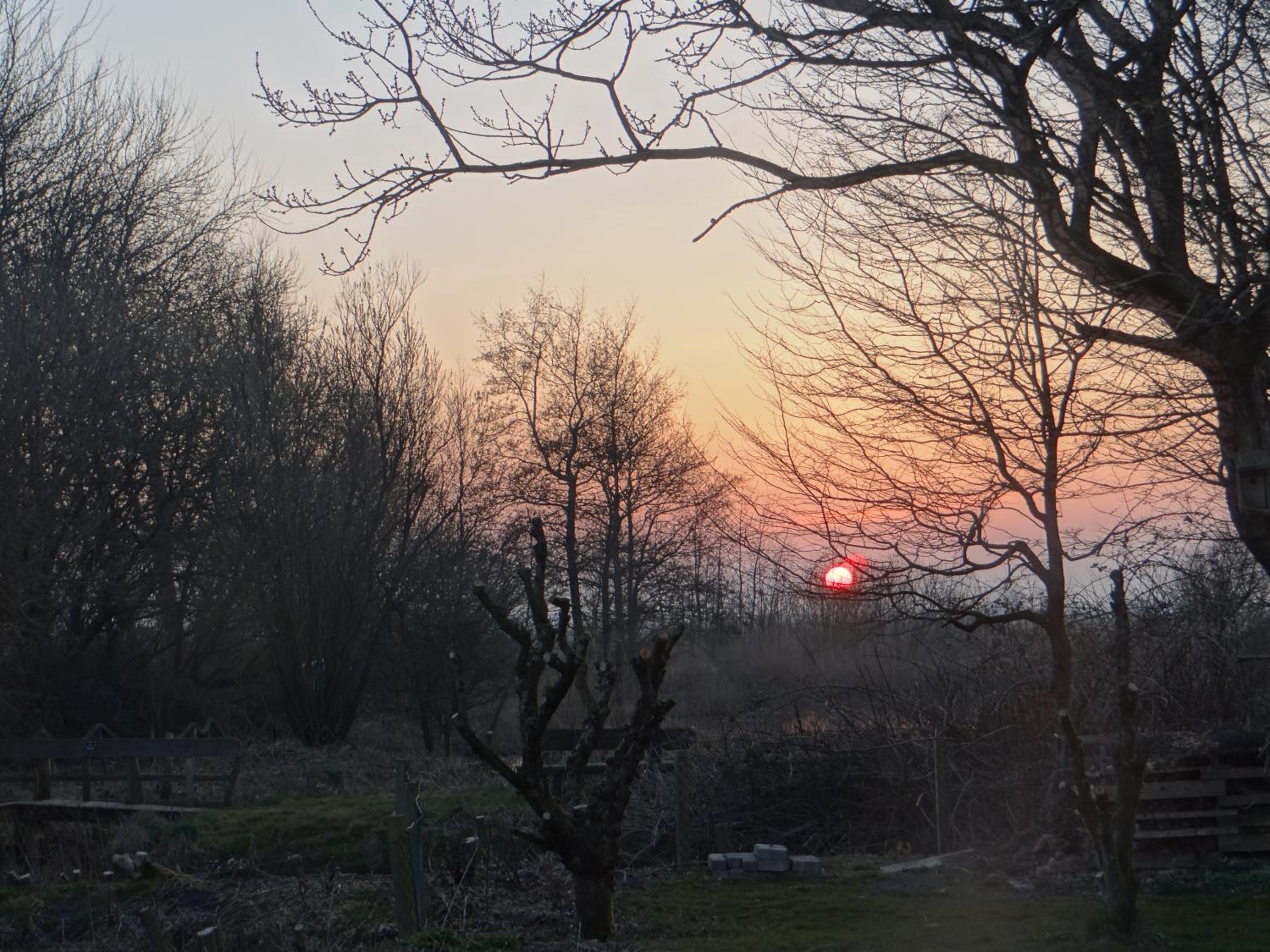 Photo 44