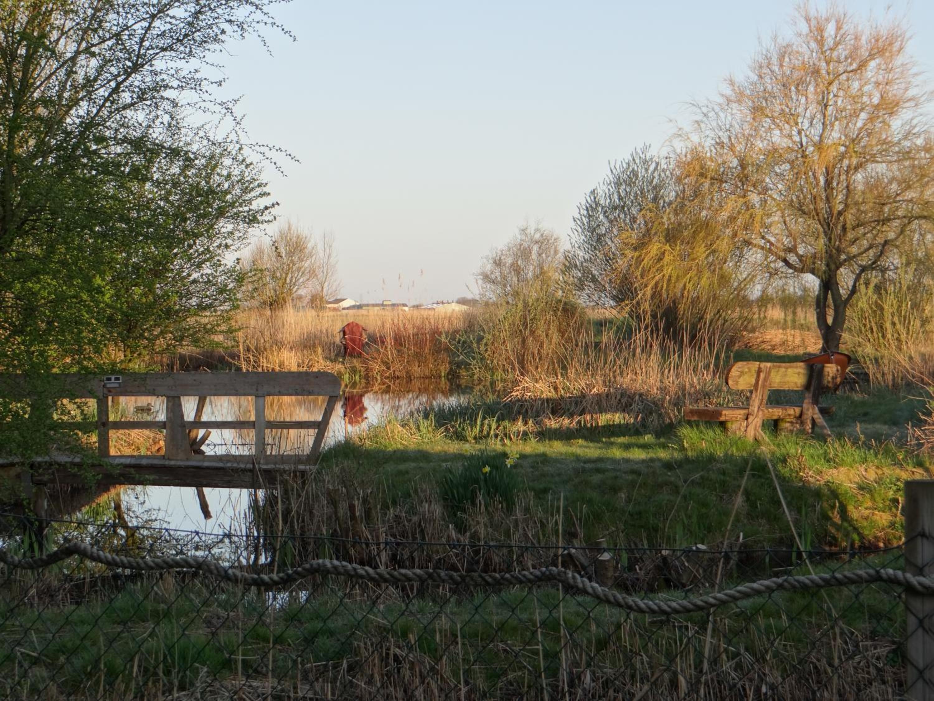 Photo 47
