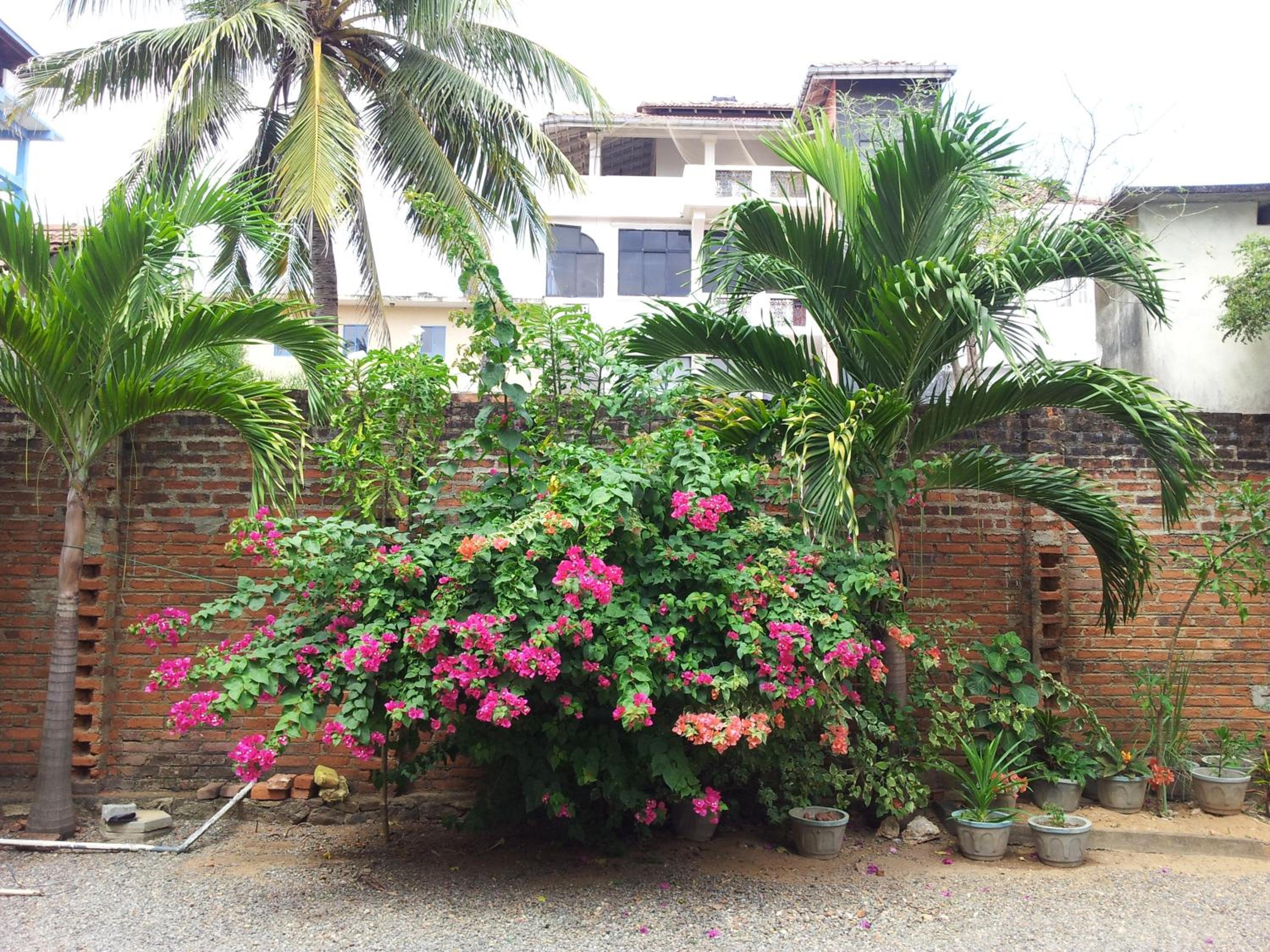 Janishi Residencies