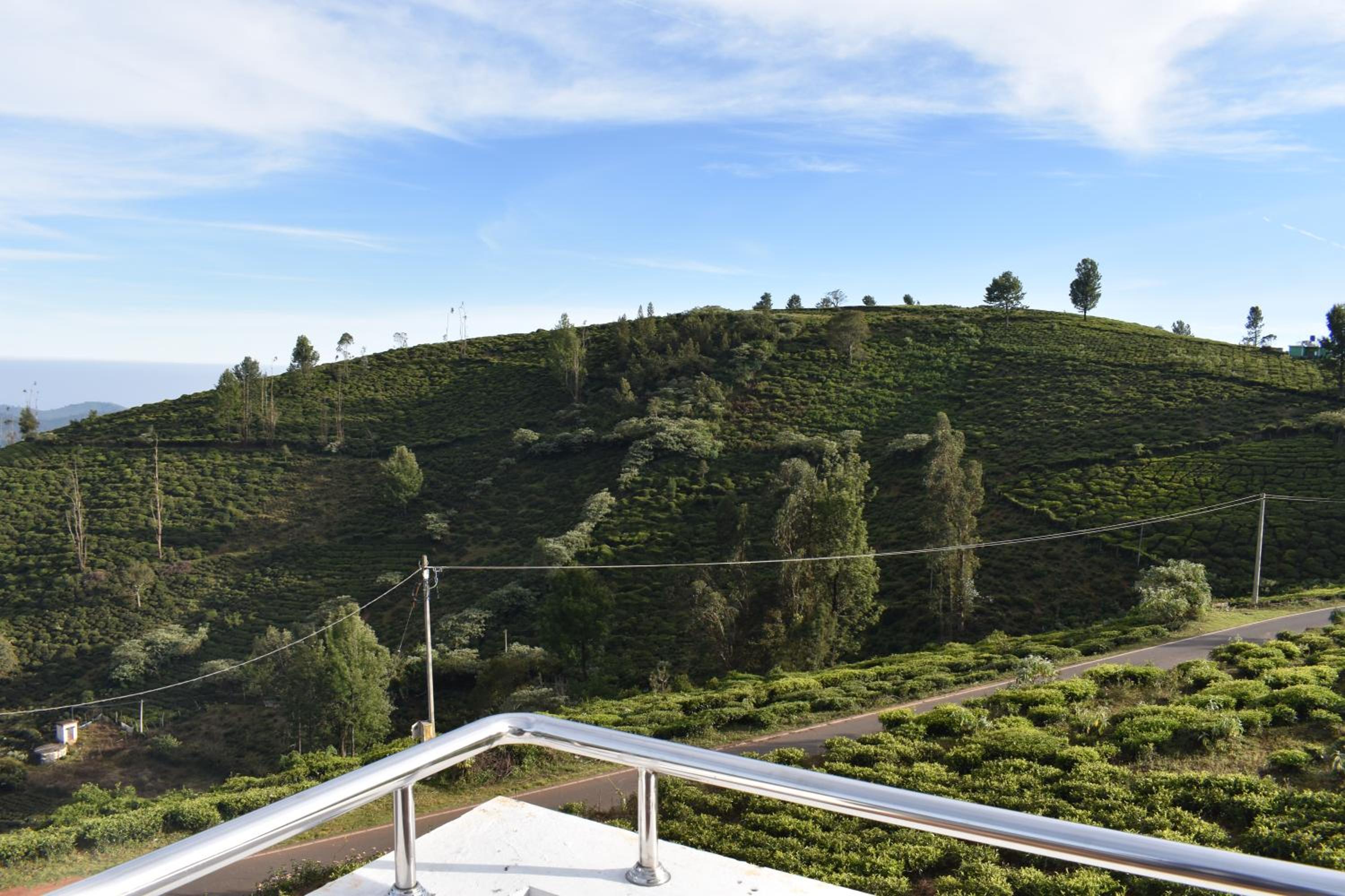 DIAMOND HILL VIEW, photo 43