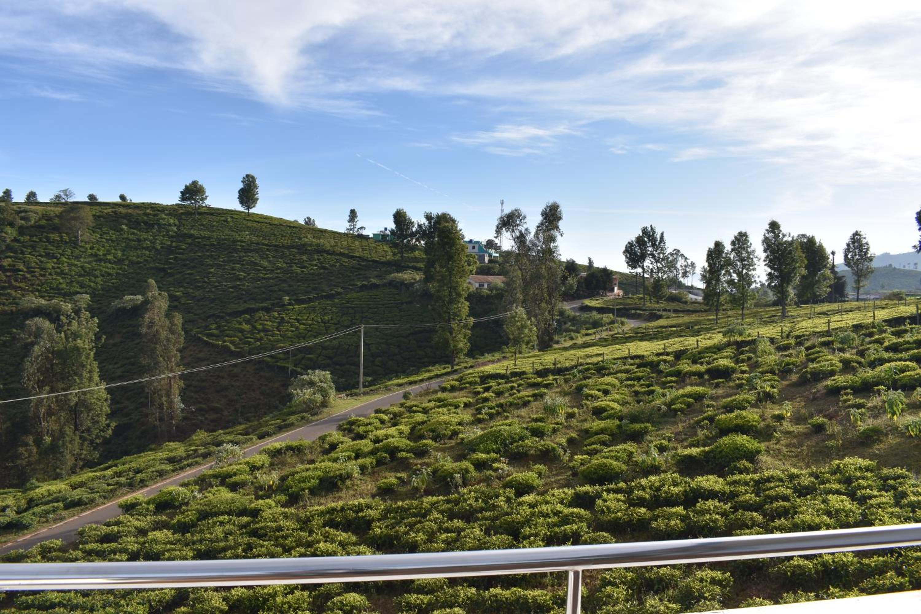DIAMOND HILL VIEW, photo 25