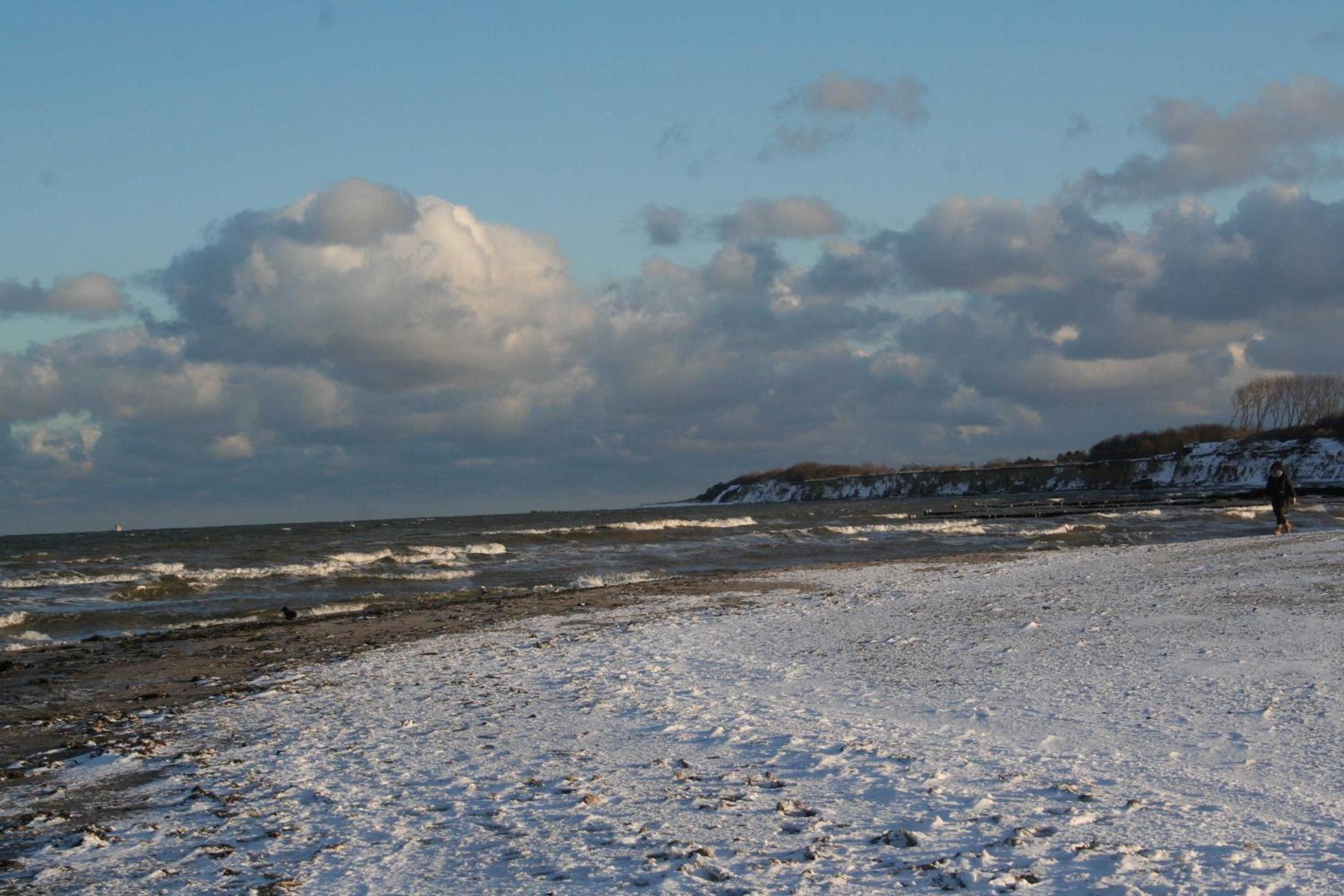 Möwennest