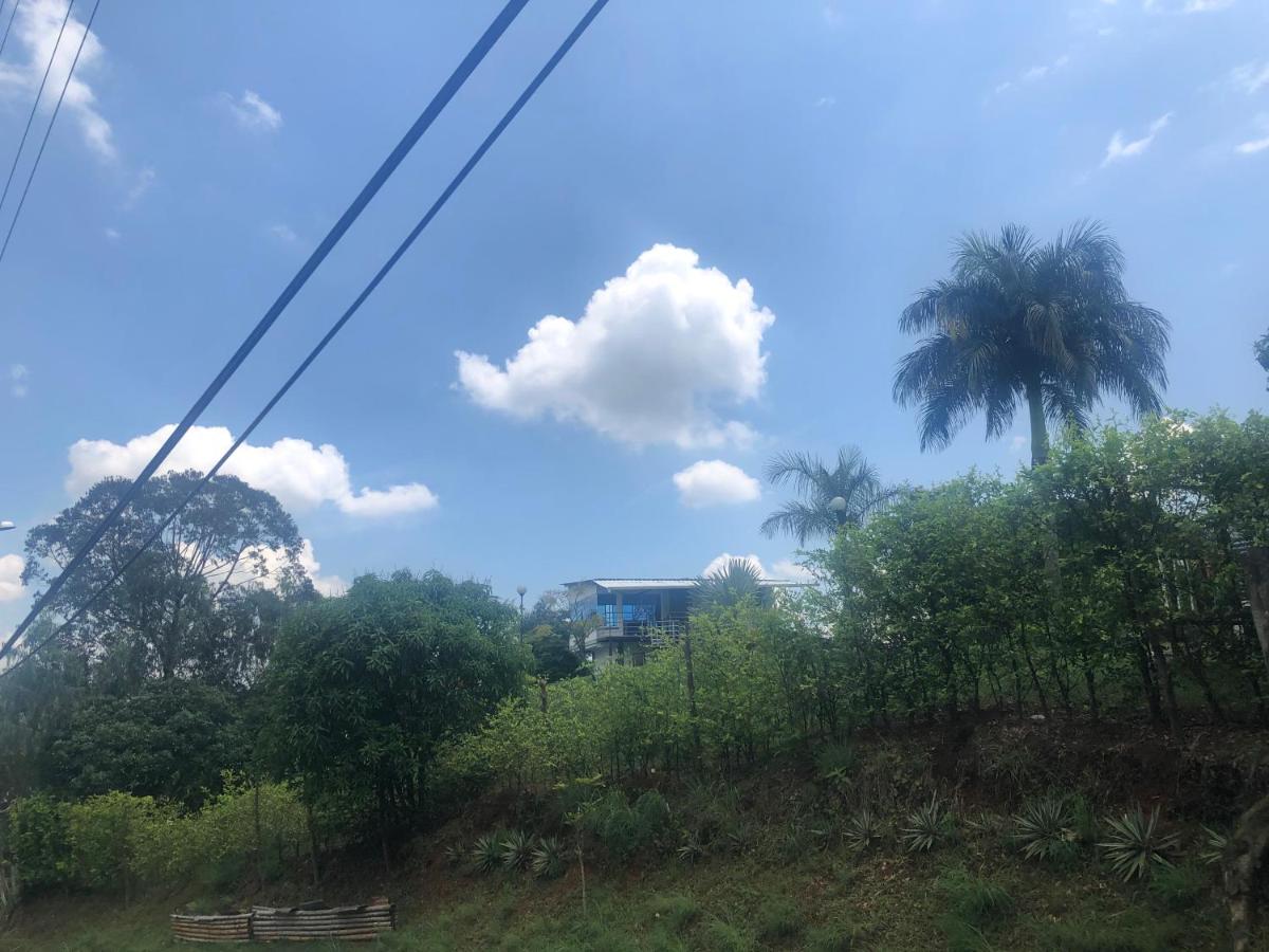 Aventurina