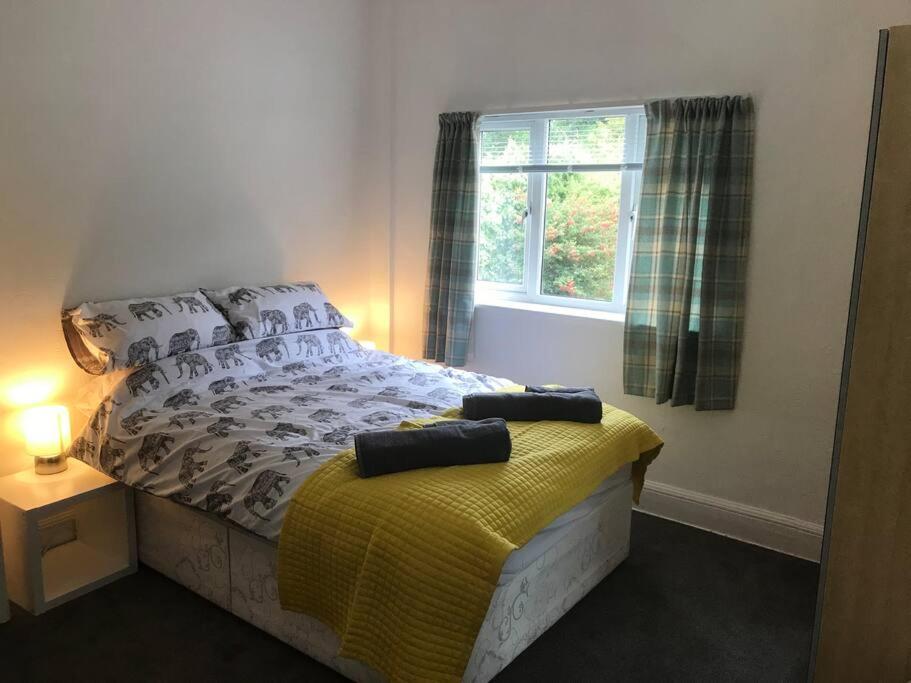 4 Avenue House view 2