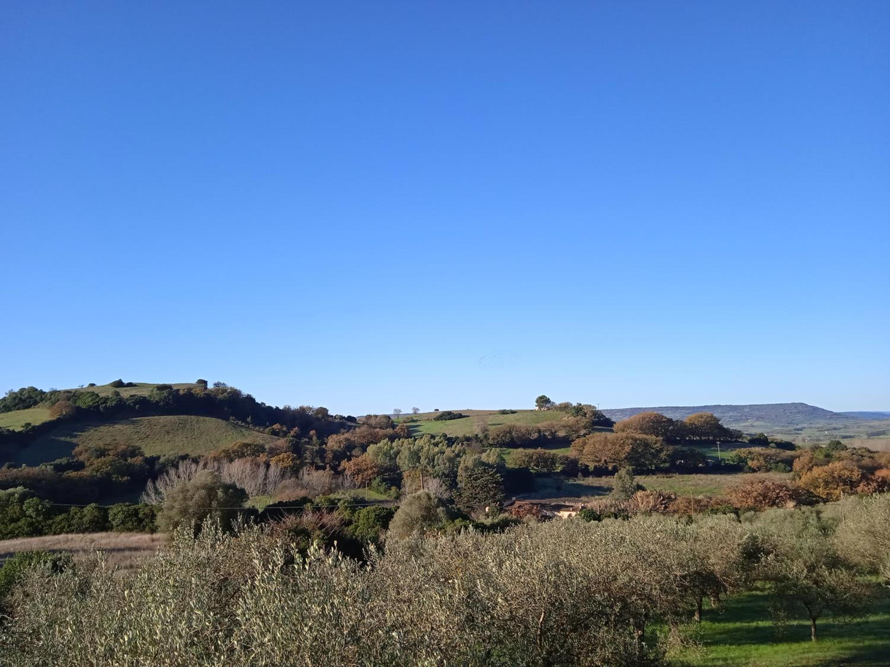 B&B PIBITZOI view 5
