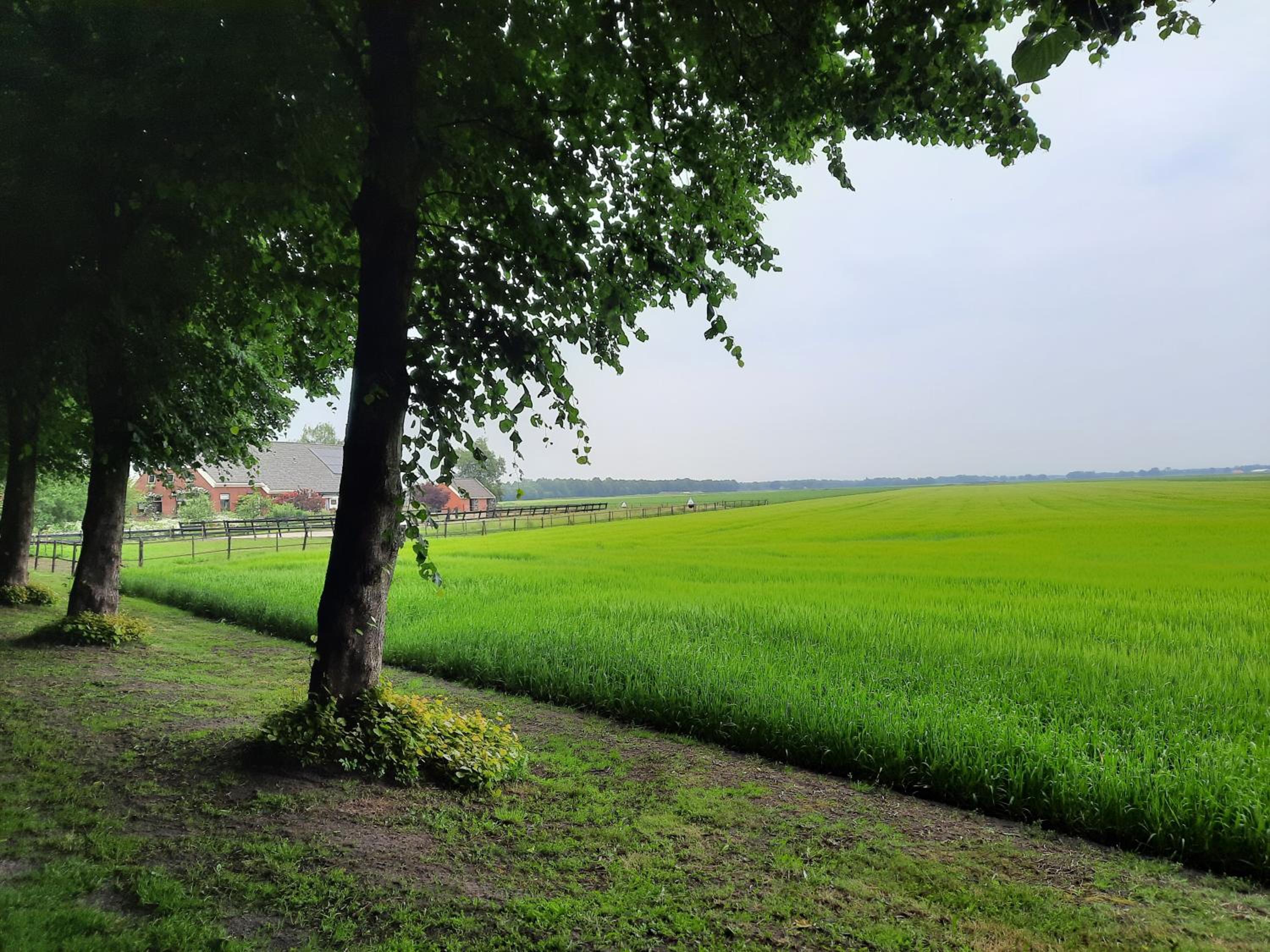 Vledderstee view 5