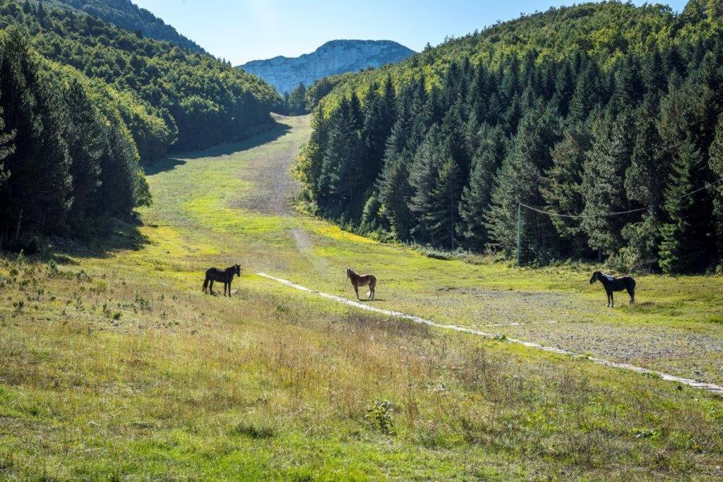 Mountain House Vinko
