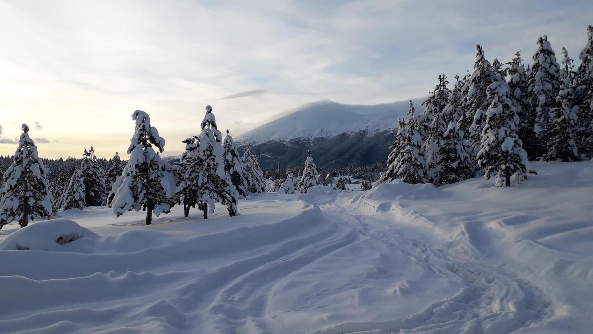 Mountain House Vinko