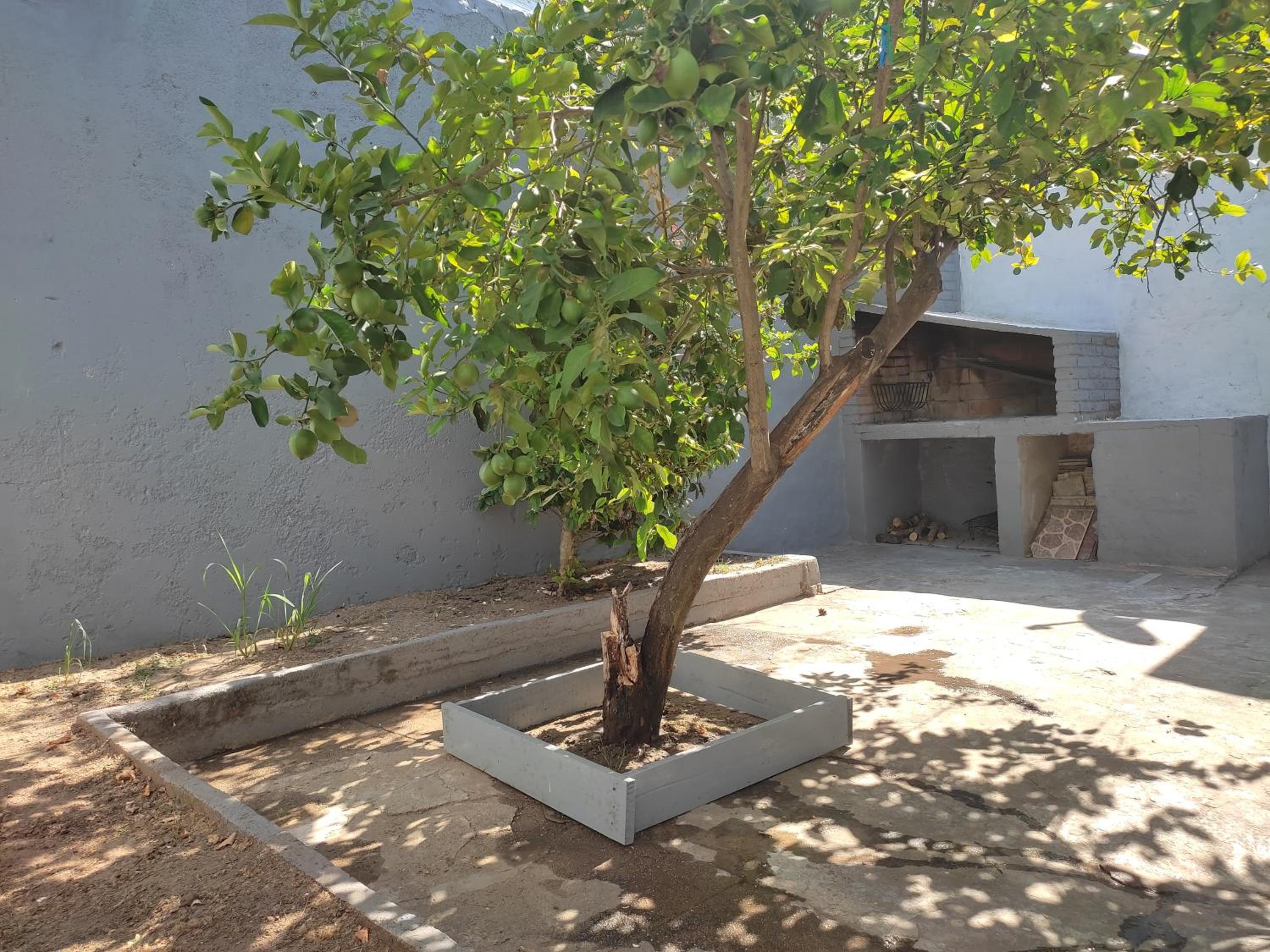 Photo 28
