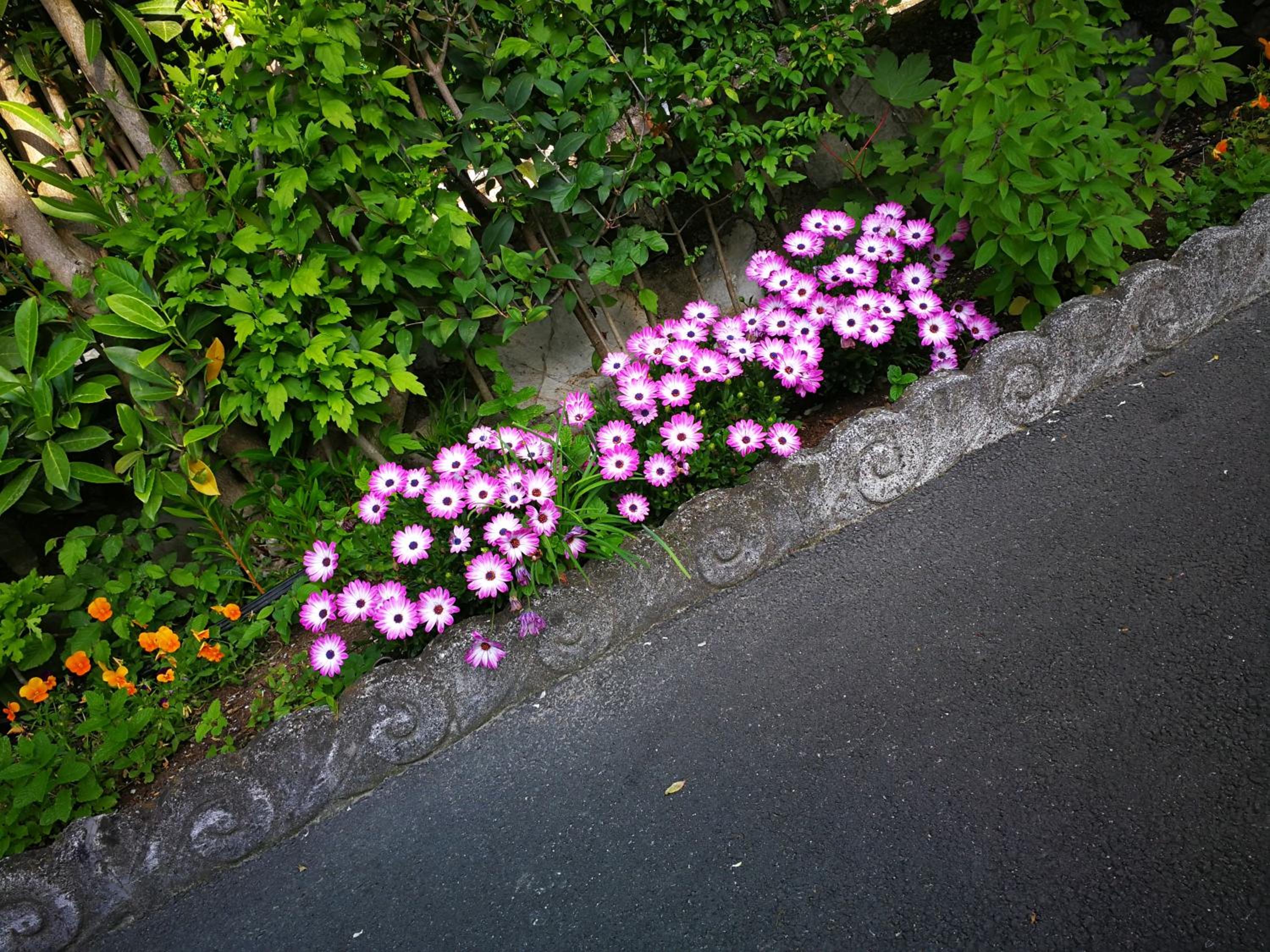 Photo 34