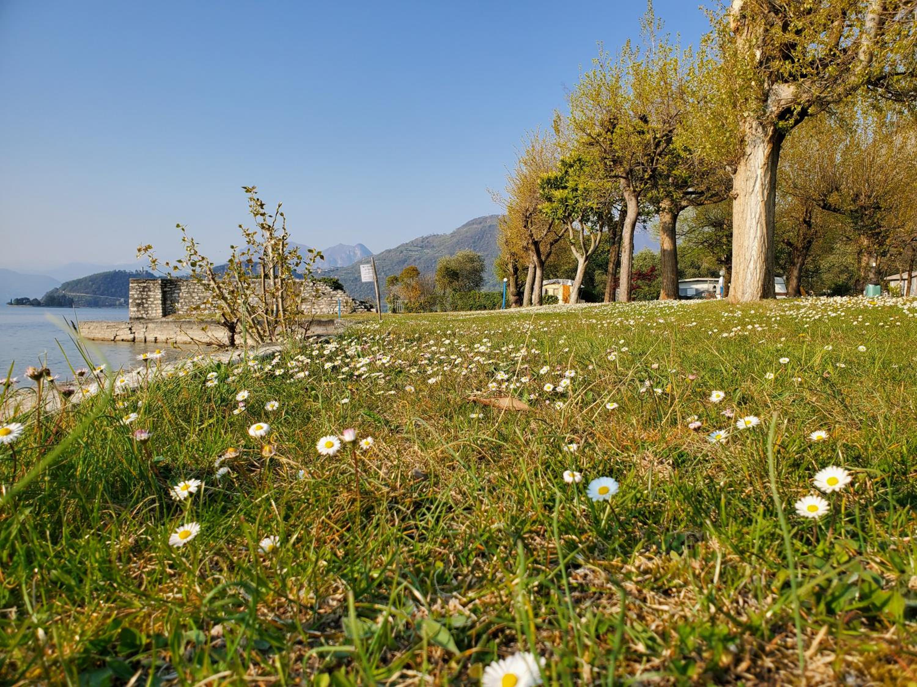 Photo 30