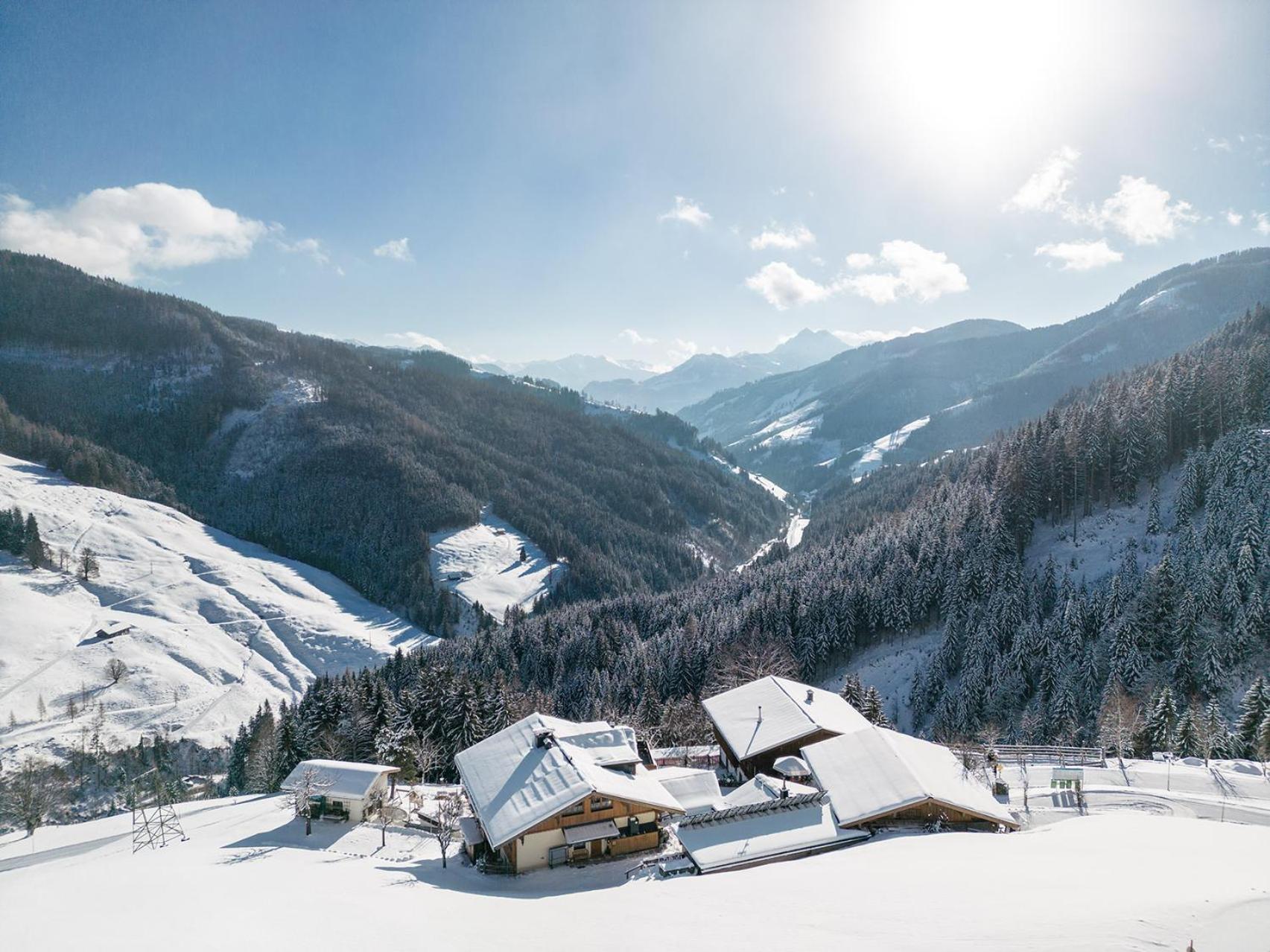 Highking Chalet Grünegg