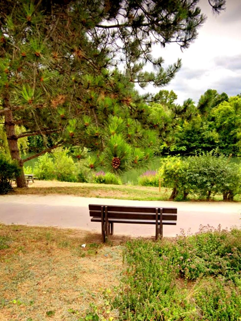 Photo 20