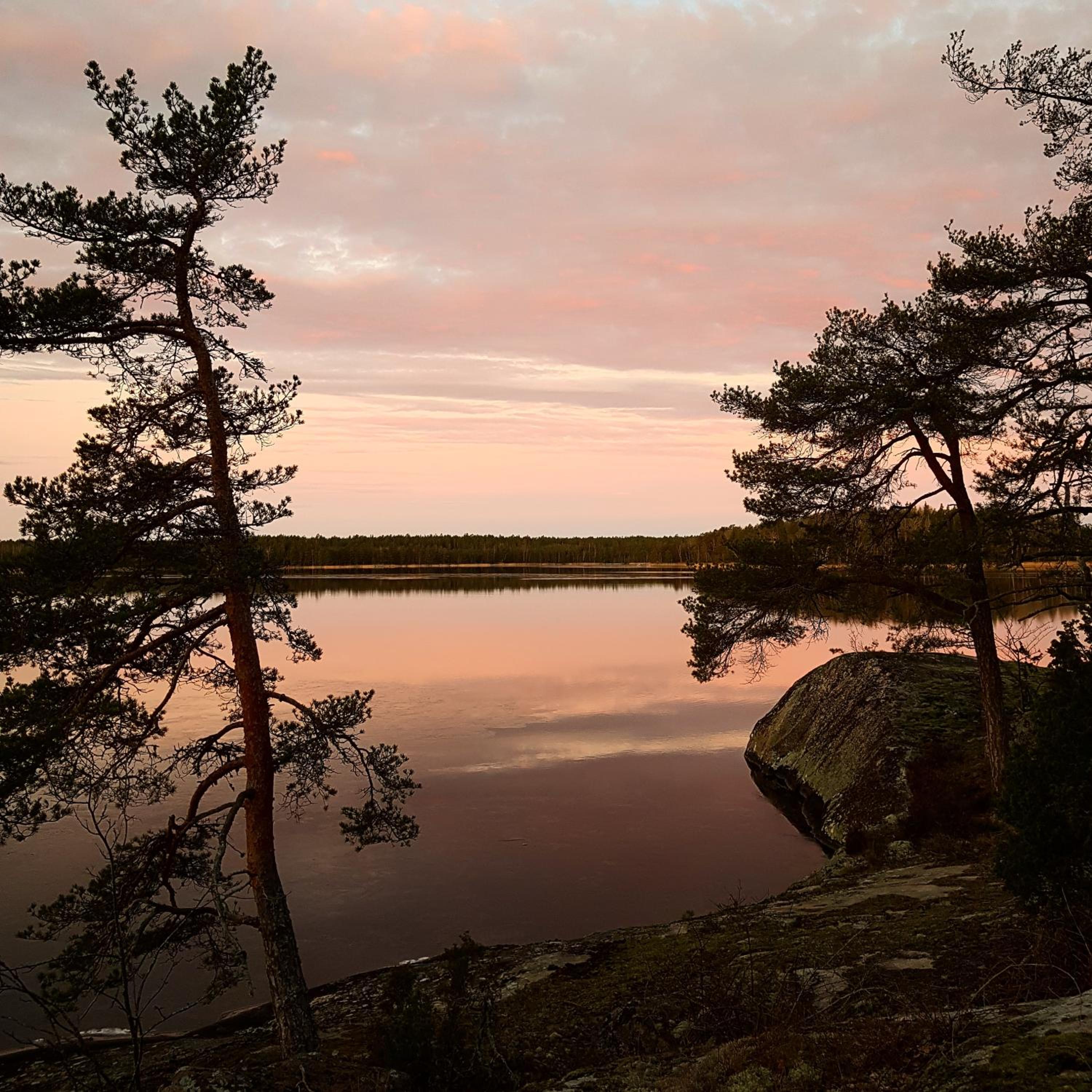 Photo 51