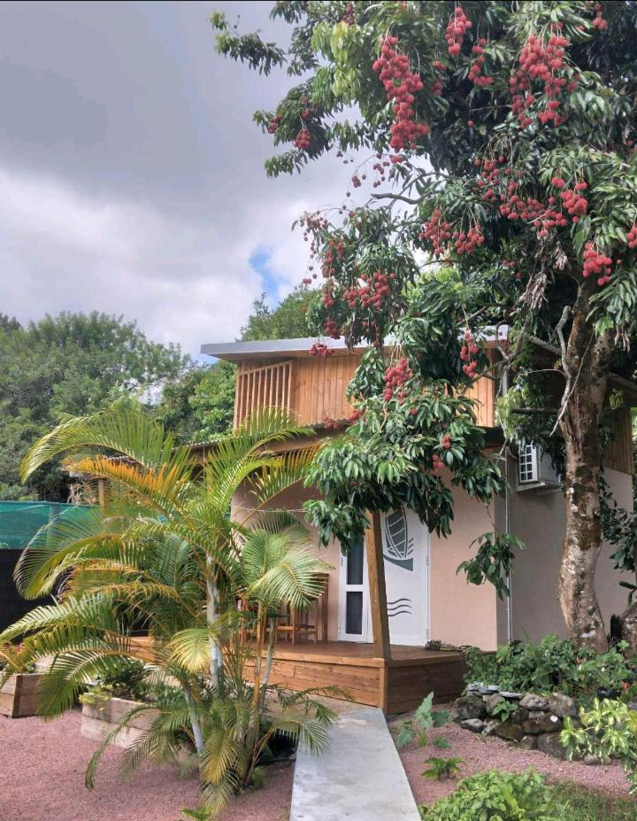 LA PLANTATION