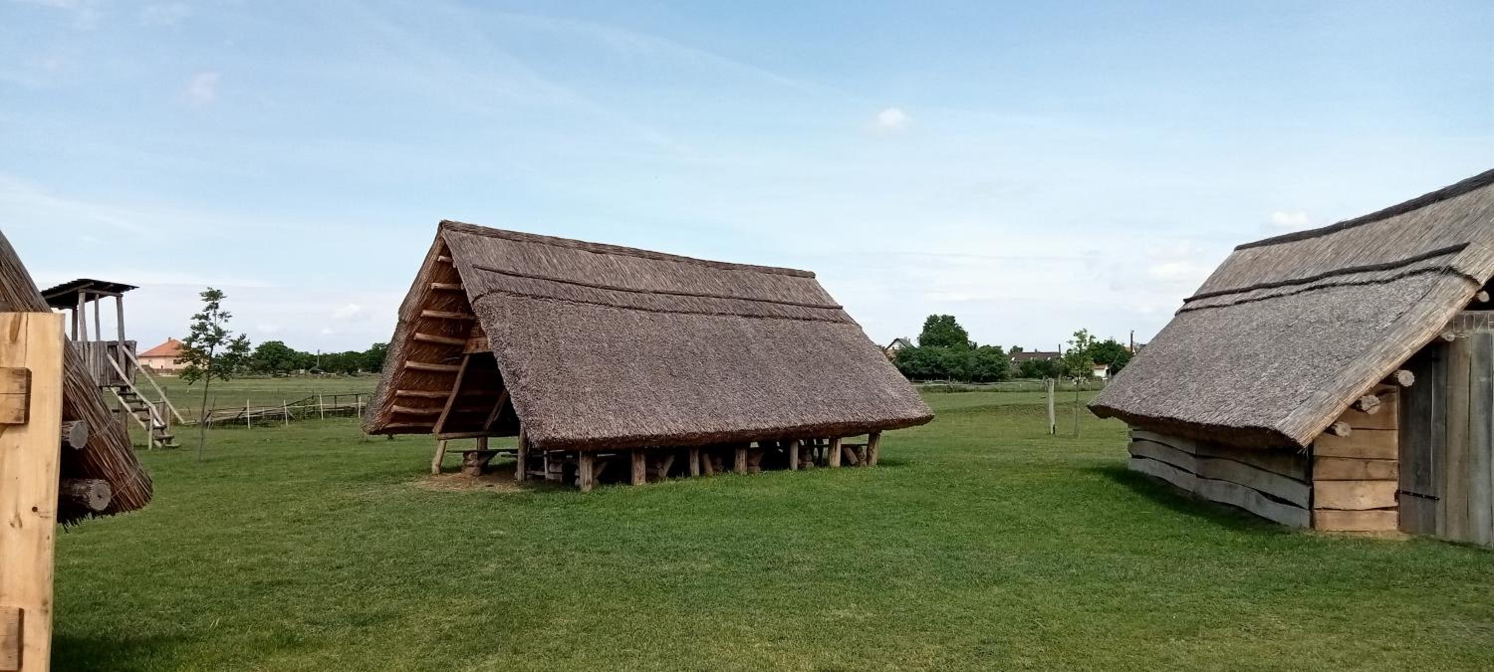 Photo 31