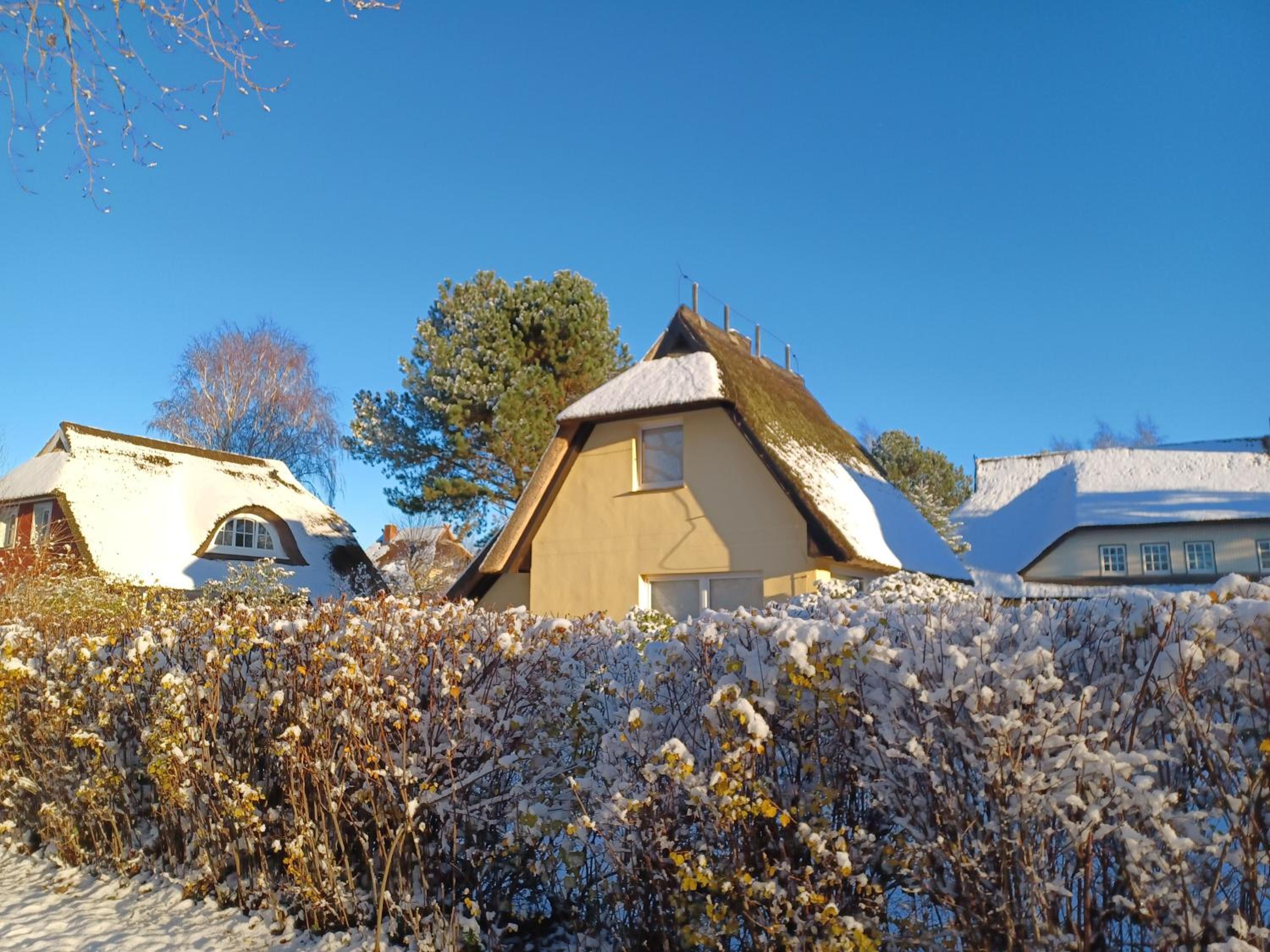 Haus Seestern