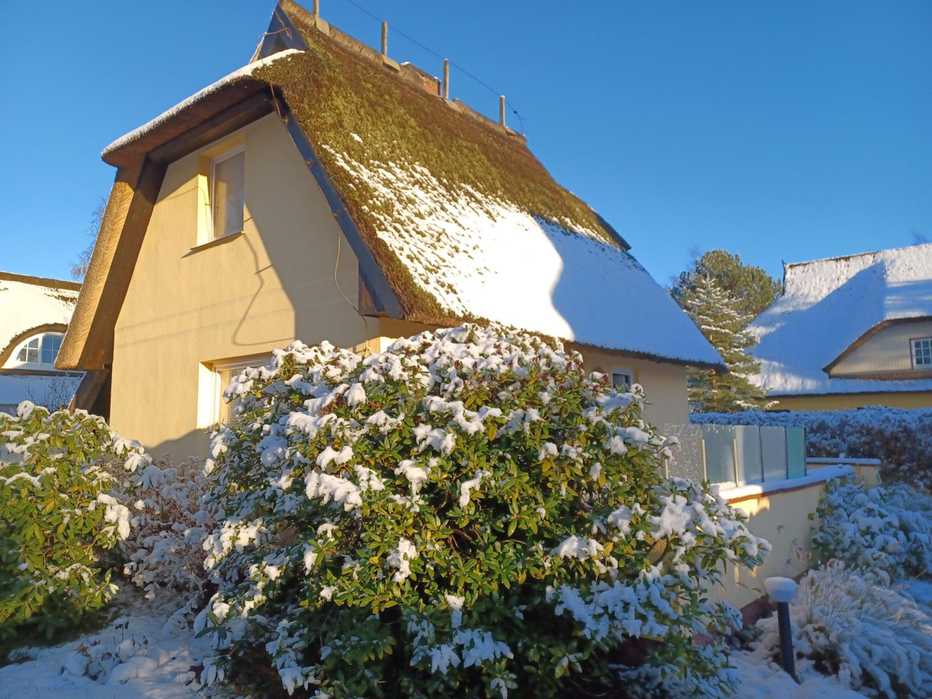 Haus Seestern