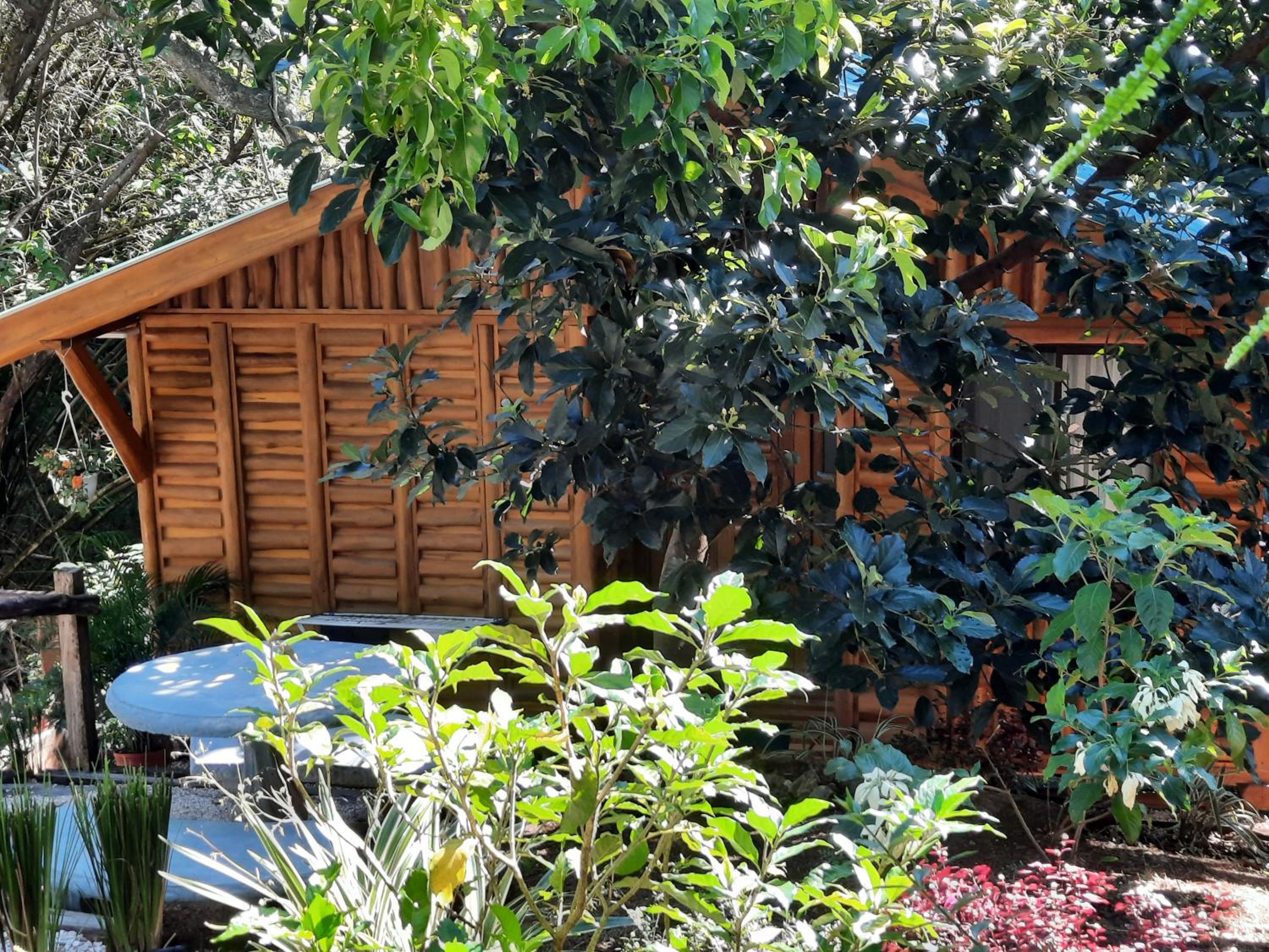 Eco-Turismo Guayacanes