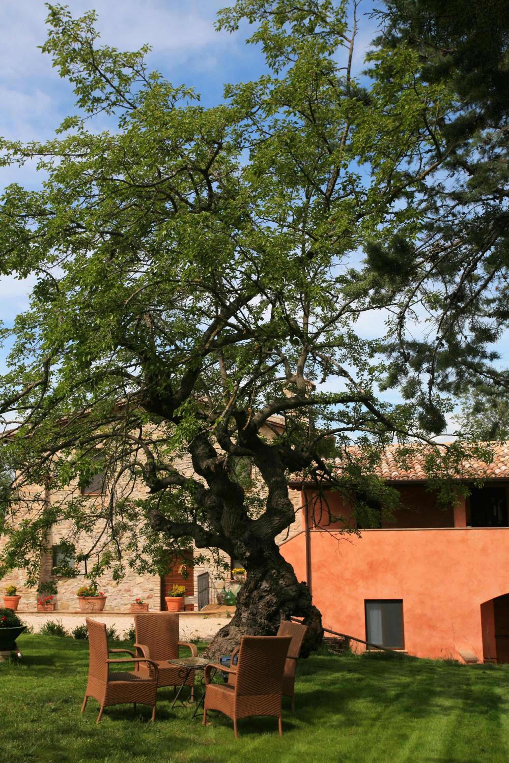 Photo 18