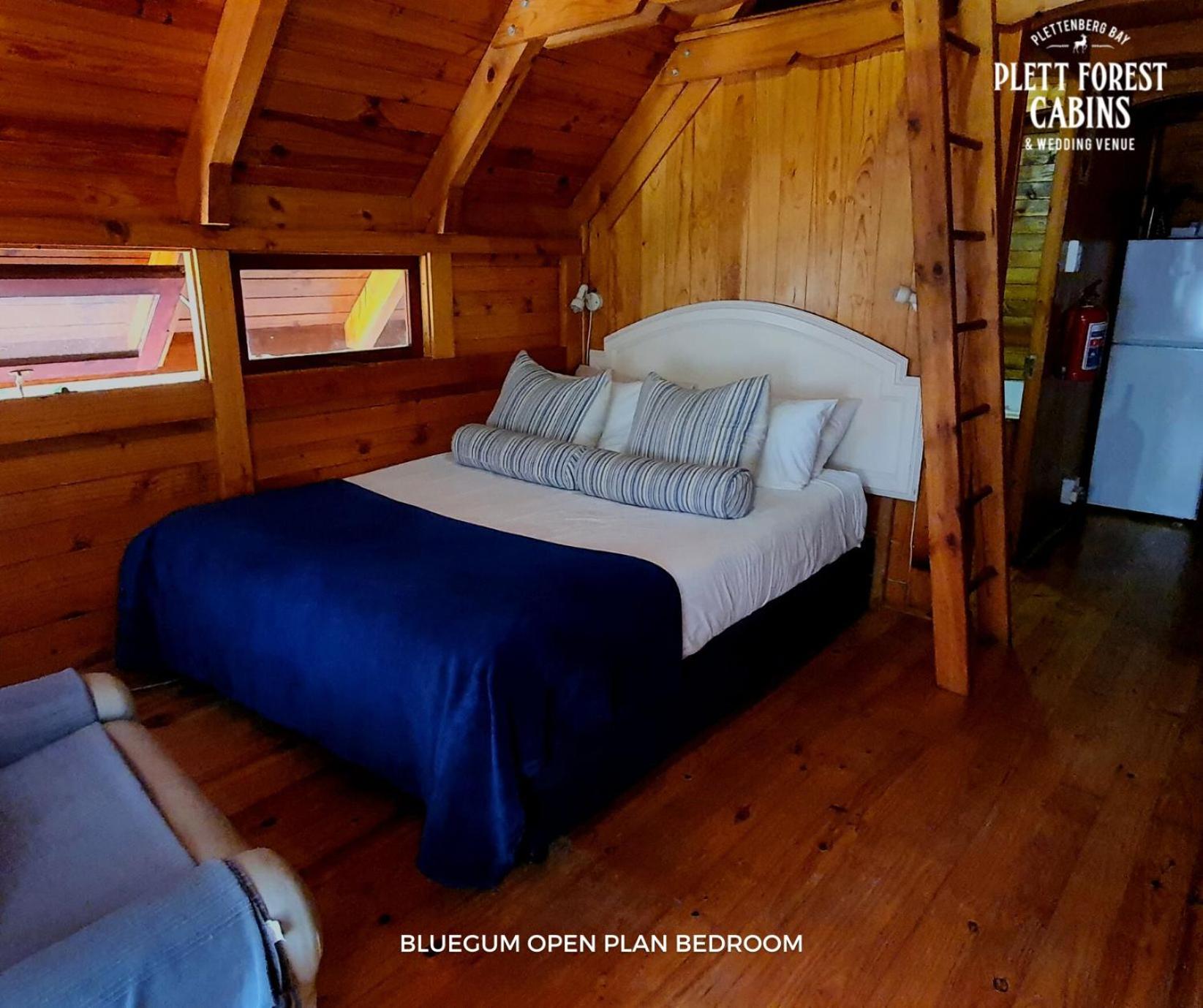 Plett Forest Cabins view 2