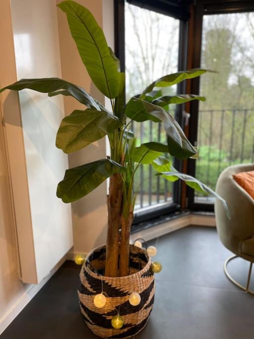Ostend Chic, luxe loftstijl in Oostende