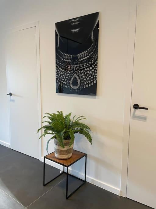 Ostend Chic, luxe loftstijl in Oostende