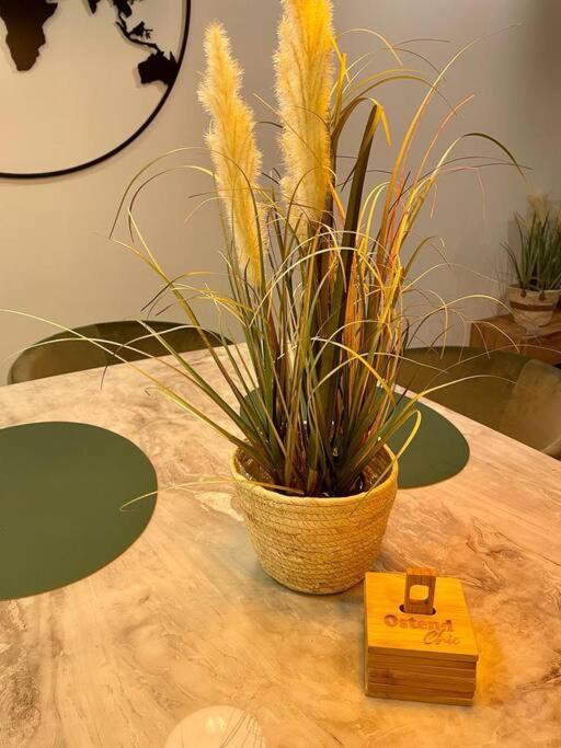 Ostend Chic, luxe loftstijl in Oostende
