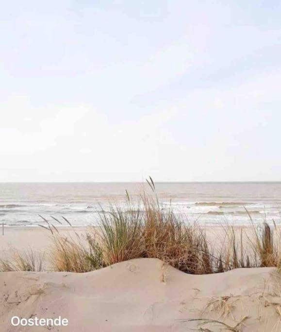 Ostend Chic, luxe loftstijl in Oostende