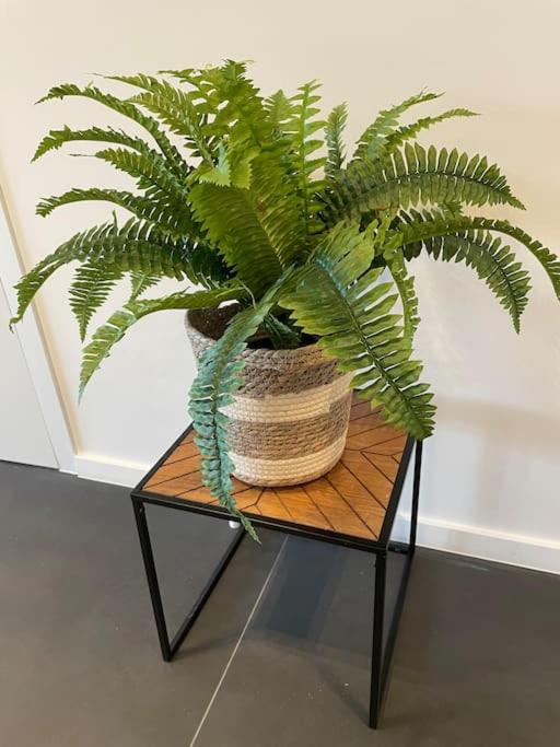 Ostend Chic, luxe loftstijl in Oostende