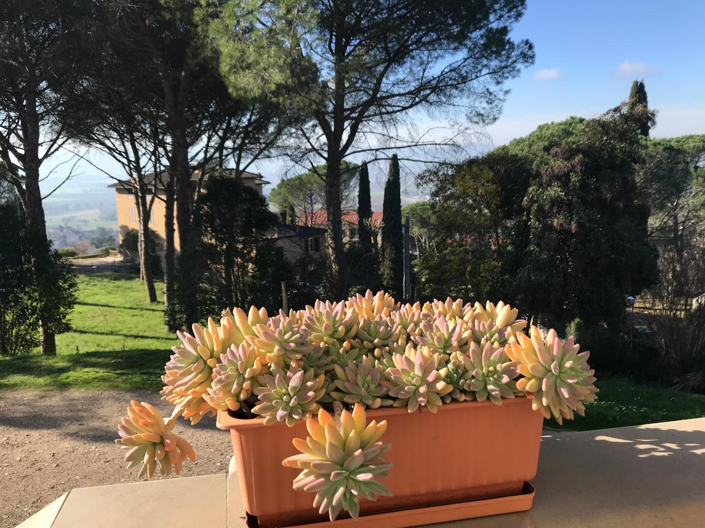 Villa Maria view 3