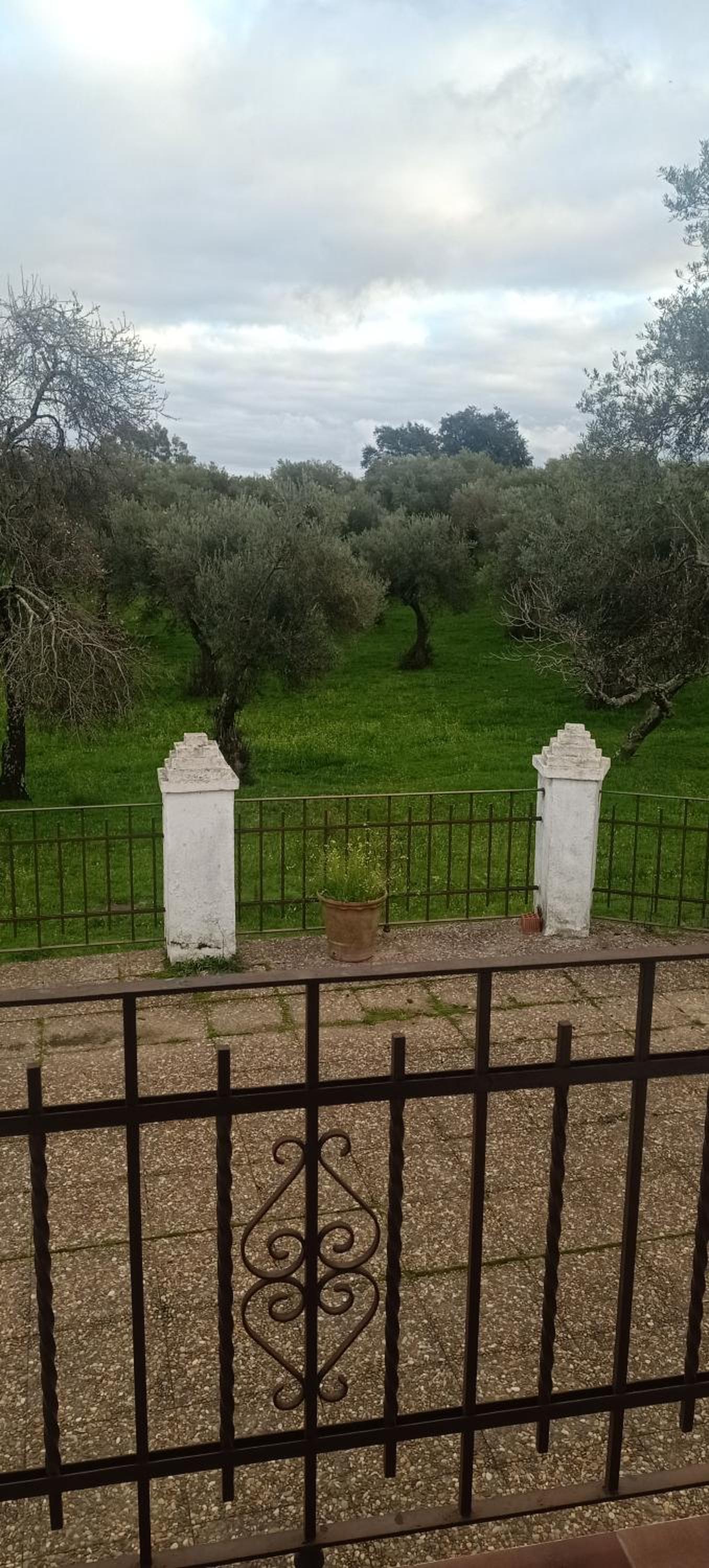 Finca el Berezal
