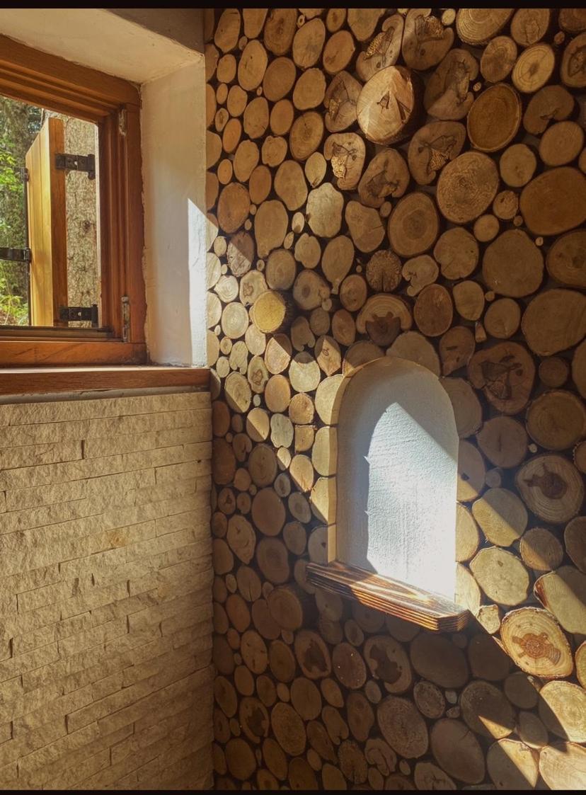 Apartmani Astra