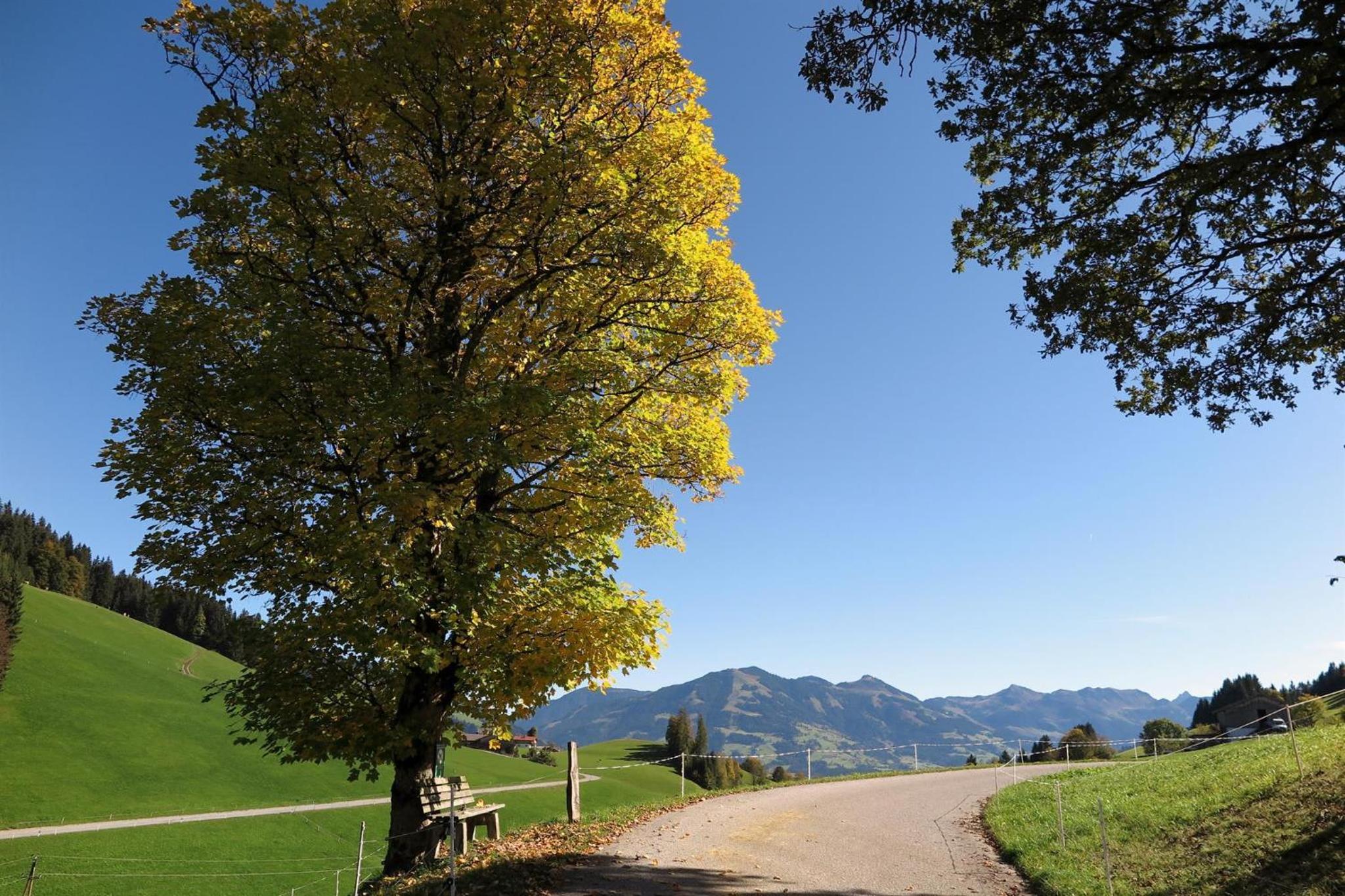 Panoramachalet Tirolernaturschlaf