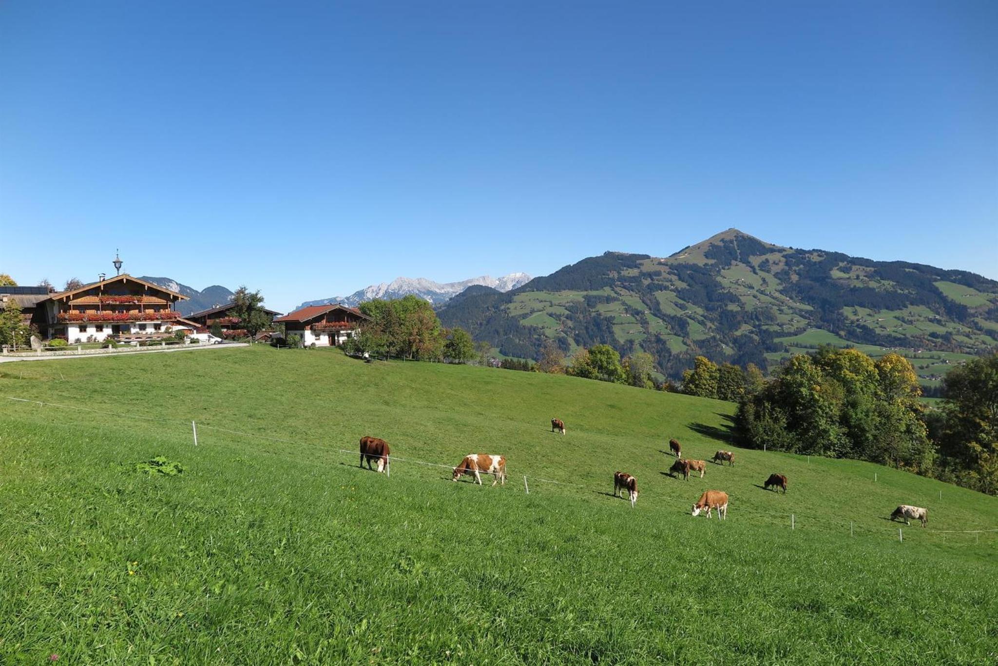 Panoramachalet Tirolernaturschlaf