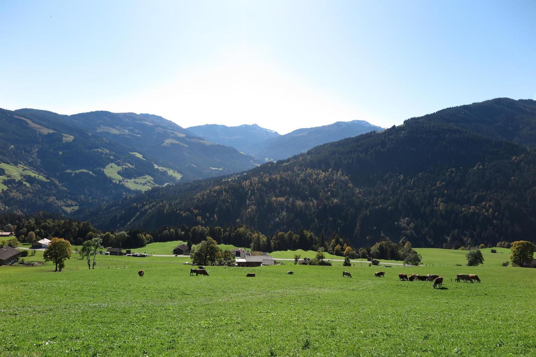 Panoramachalet Tirolernaturschlaf