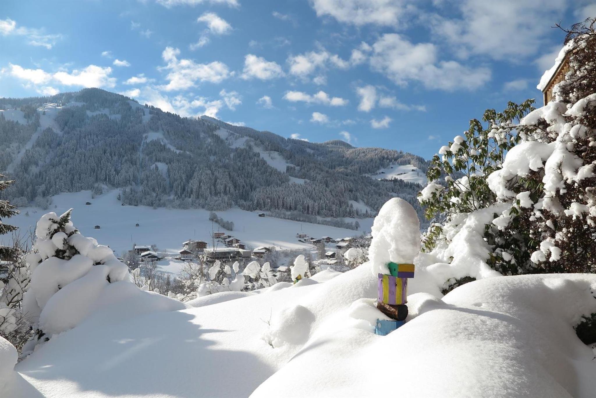 Panoramachalet Tirolernaturschlaf
