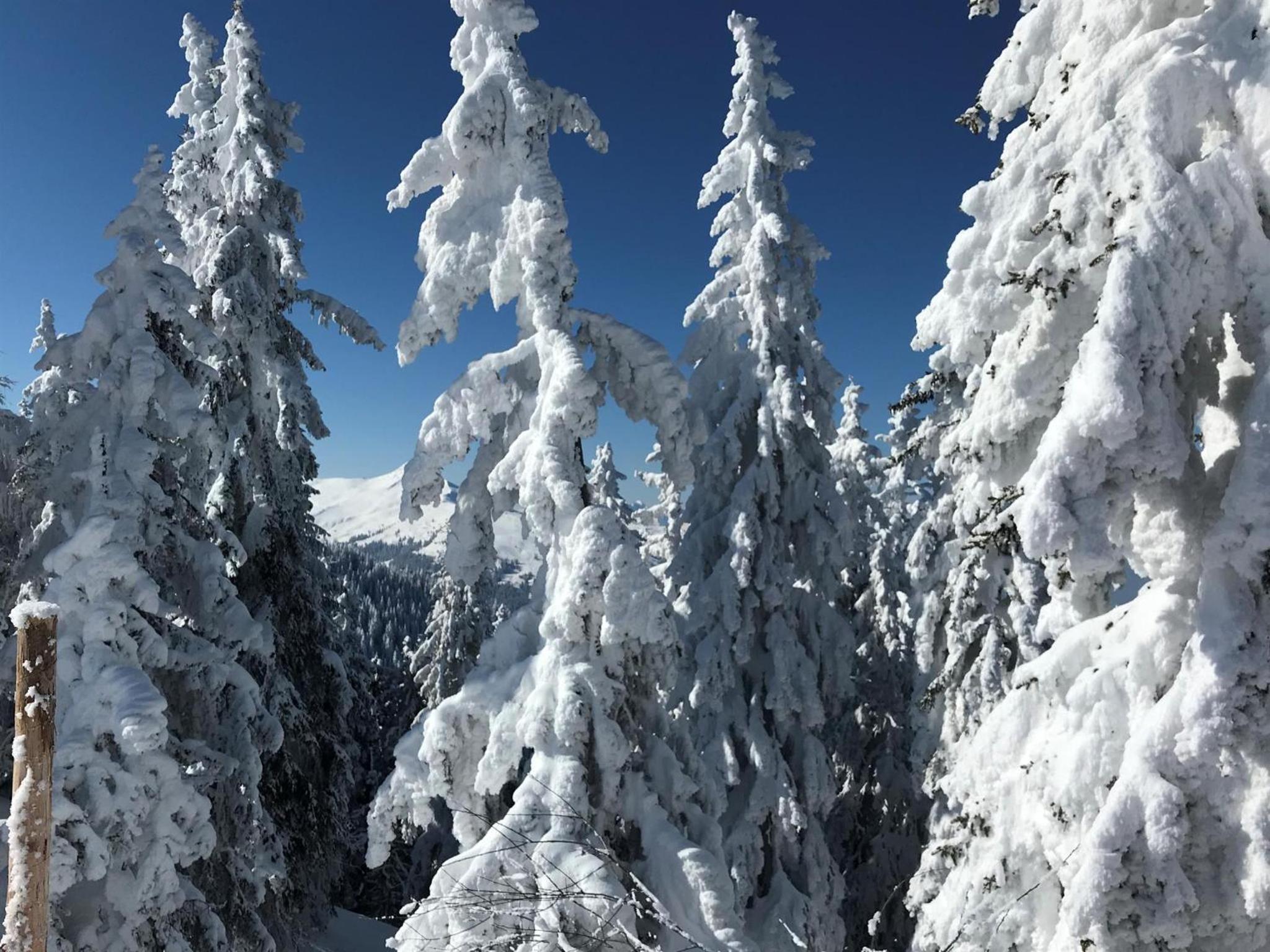 Panoramachalet Tirolernaturschlaf