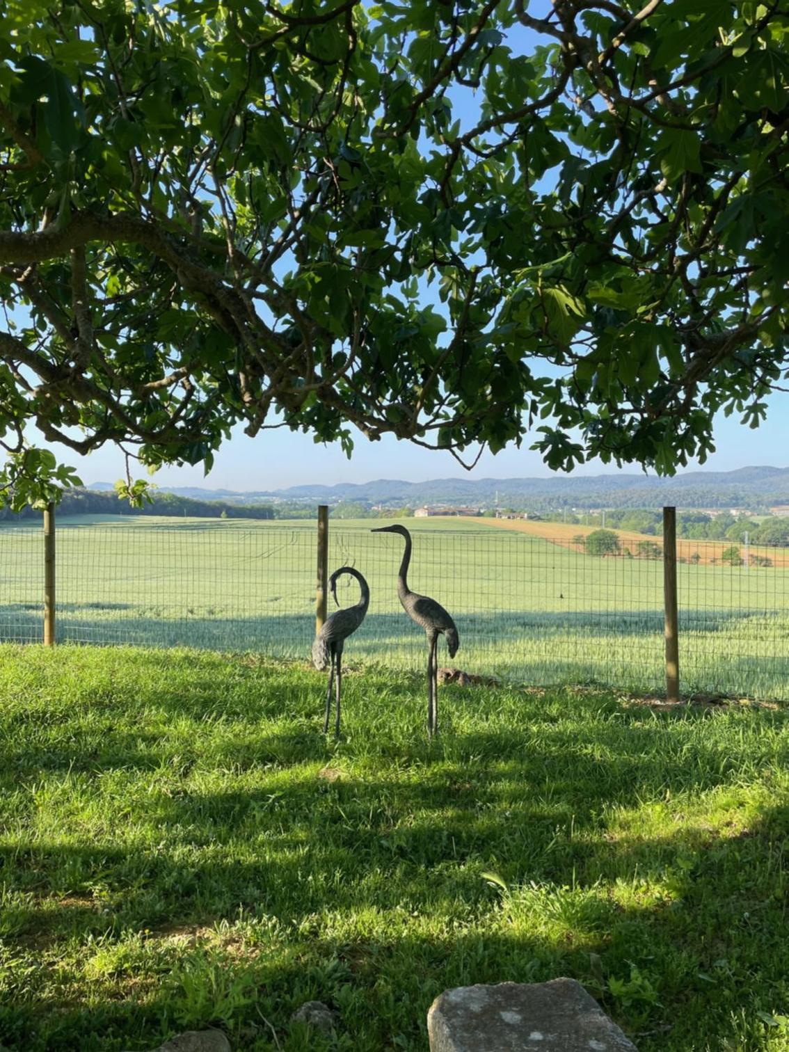 Mas Feliu Turismo Rural