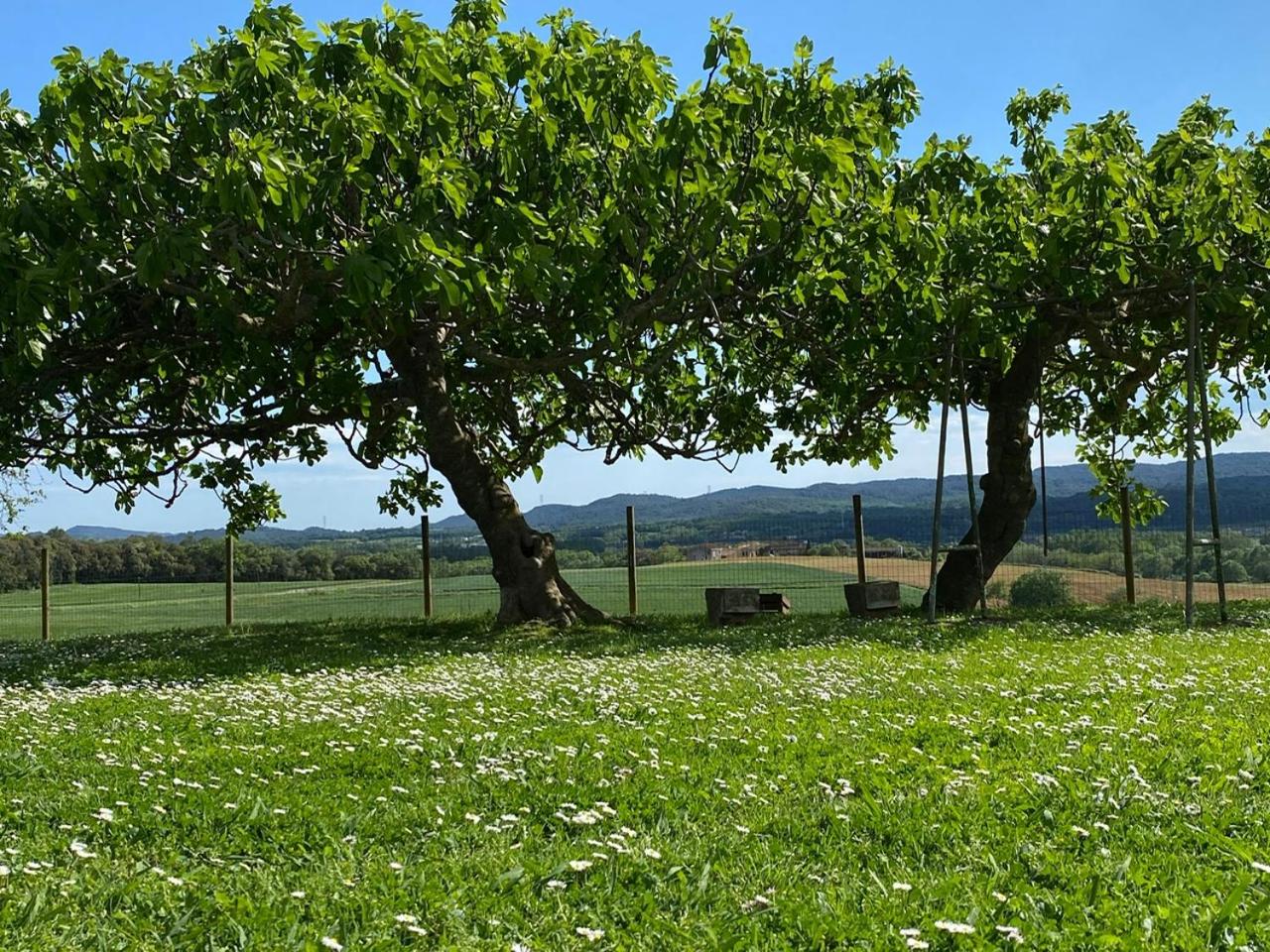 Mas Feliu Turismo Rural