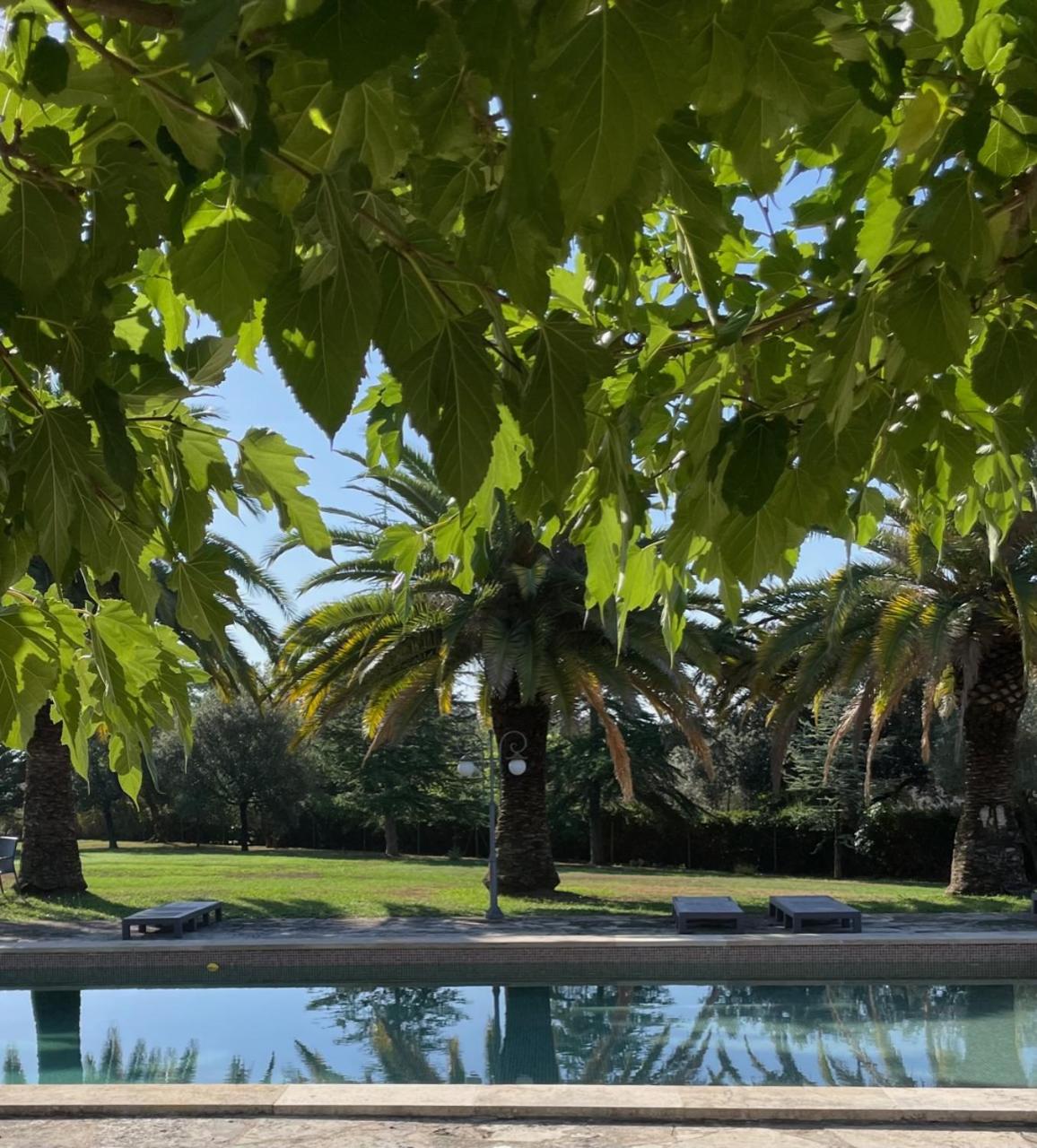 Mas Feliu Turismo Rural