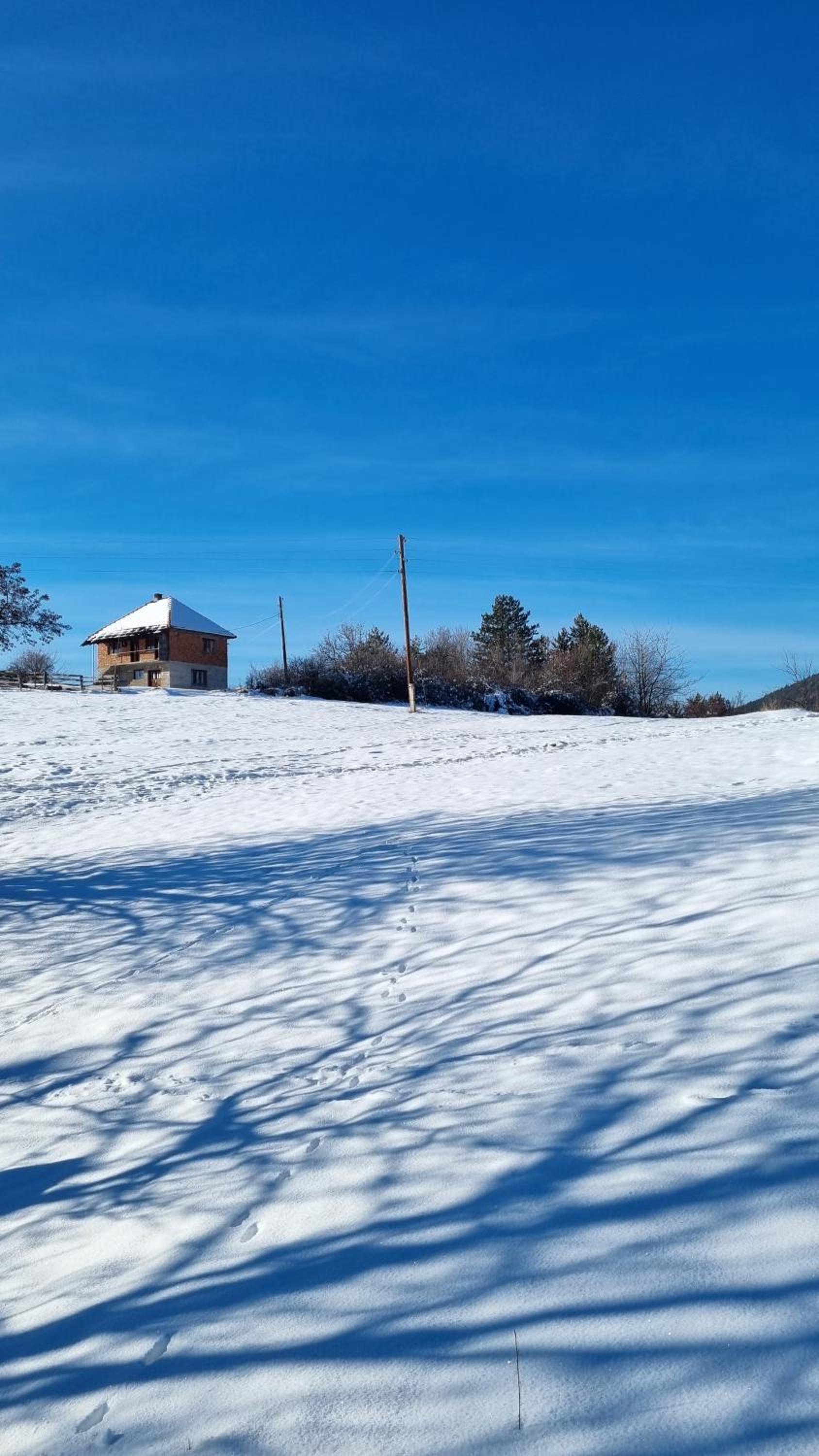 AA Pine vikendica za izdavanje u srcu Zapadne Srbije